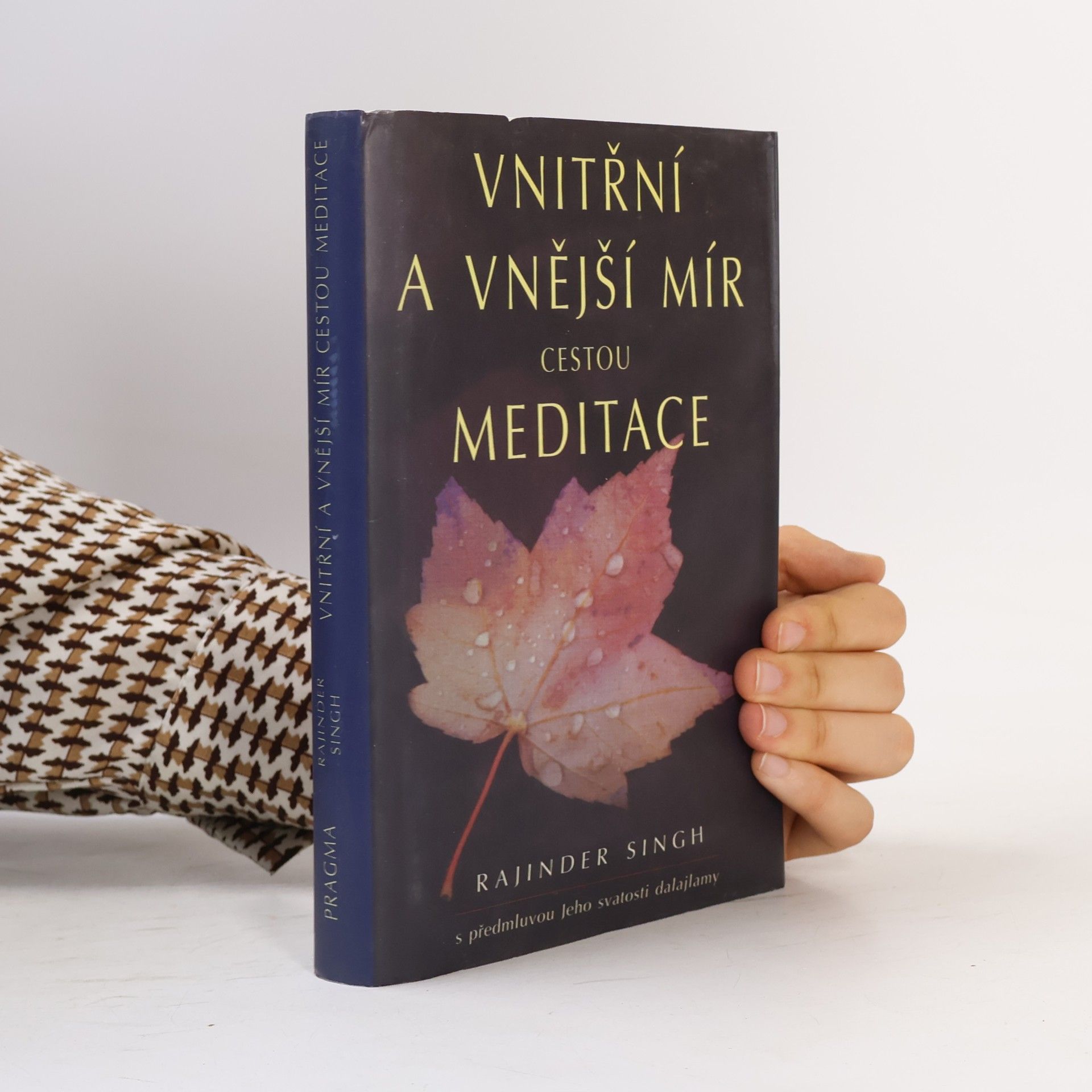 svatý Rajinder Singh Vnitřní a vnější mír cestou meditace