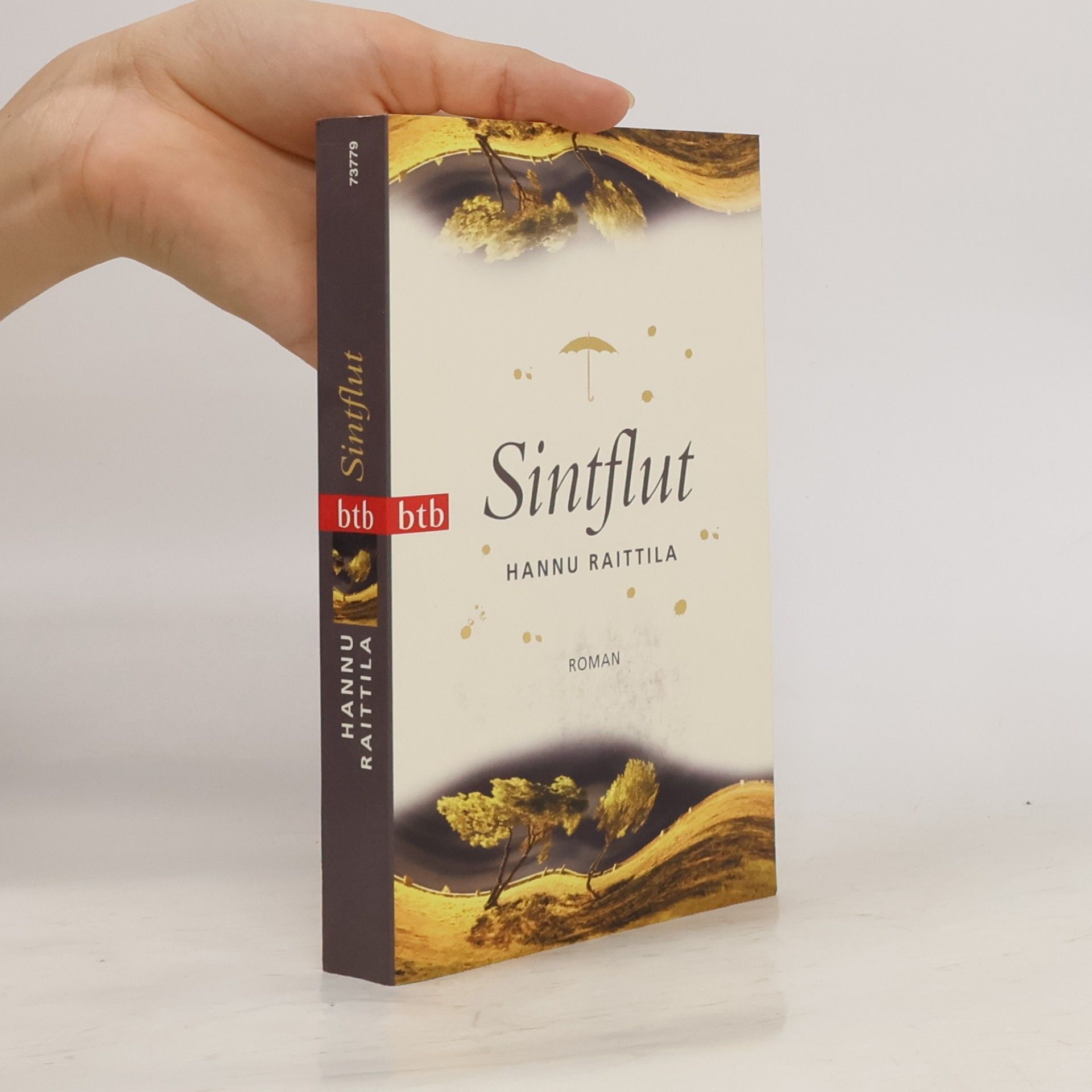 Hannu Raittila Sintflut