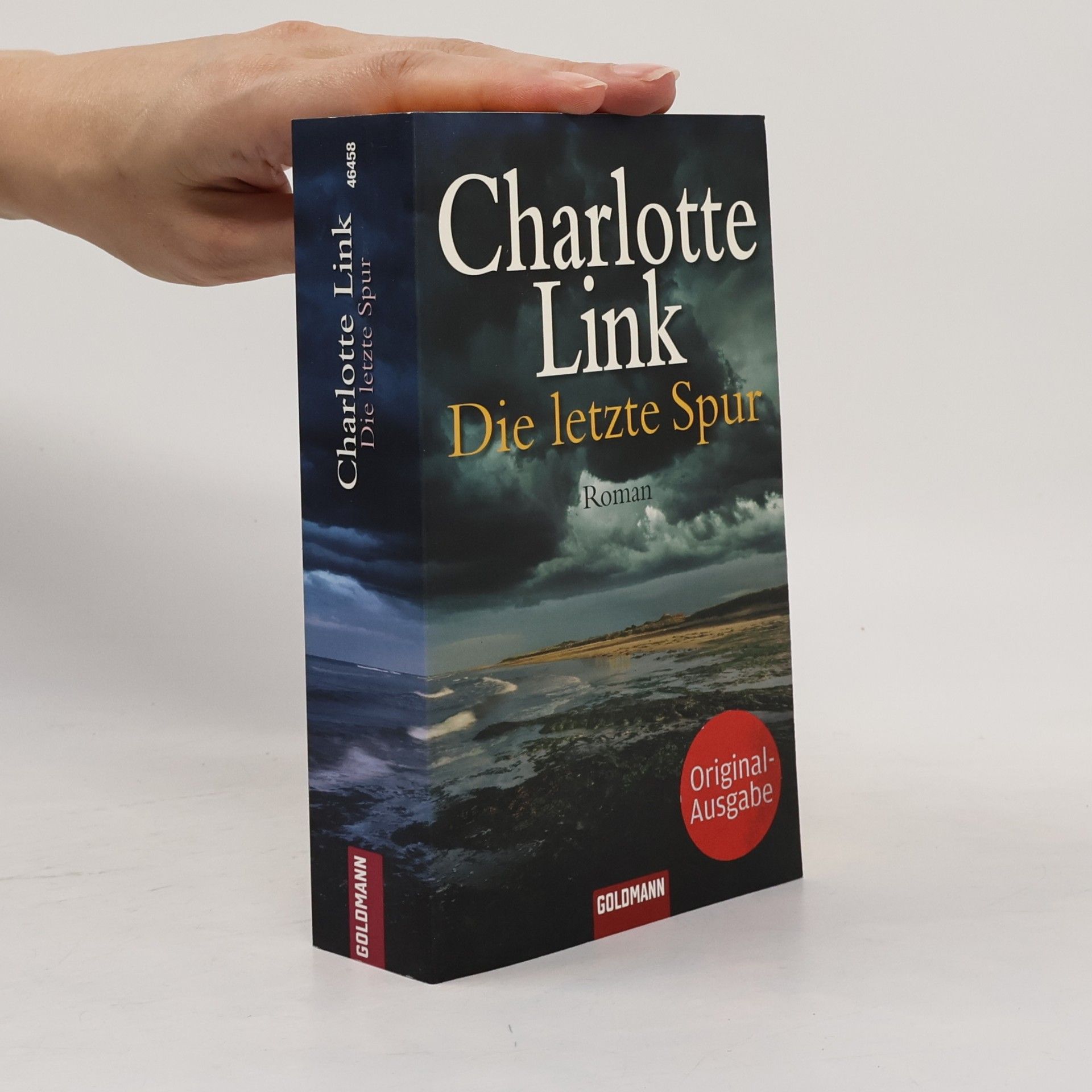 Charlotte Link Die letzte Spur