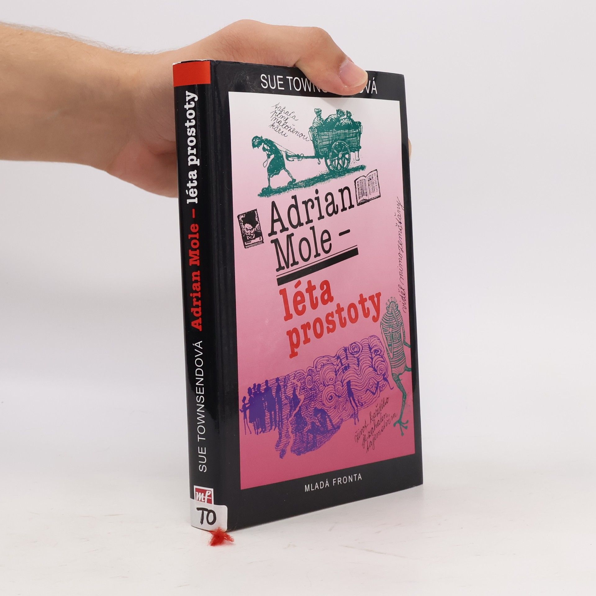 Sue Townsend Adrian Mole – Léta prostoty
