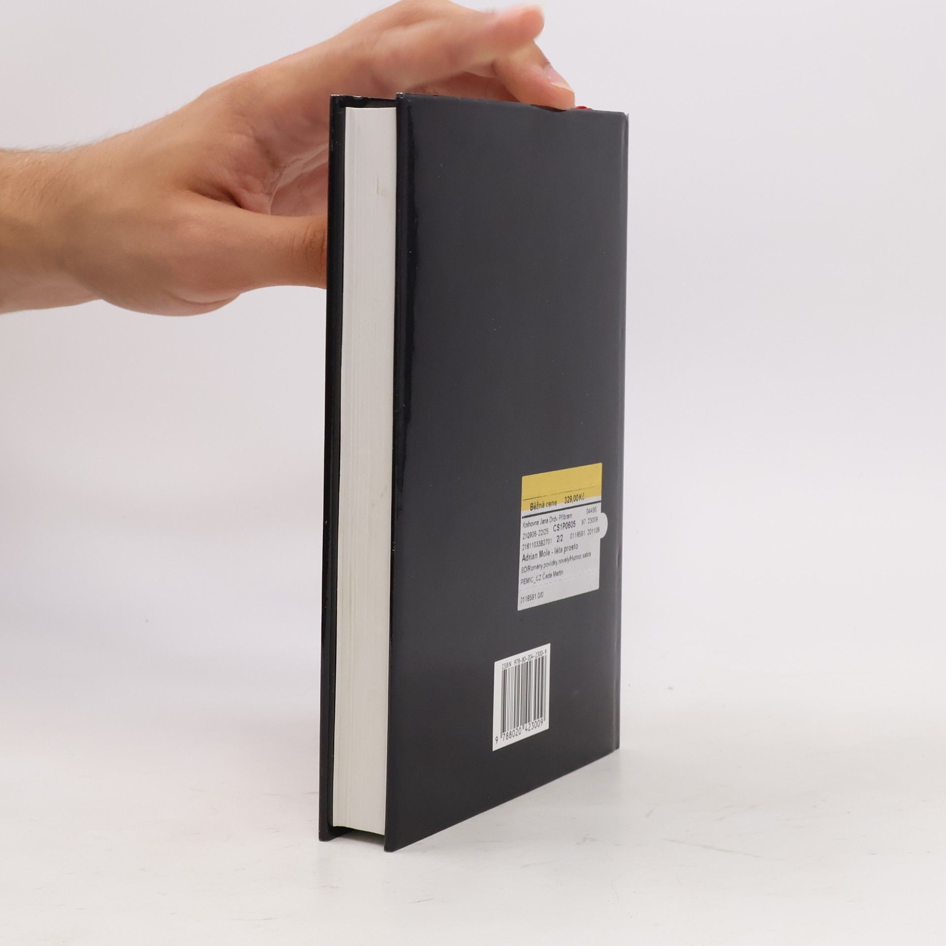 Sue Townsend Adrian Mole – Léta prostoty