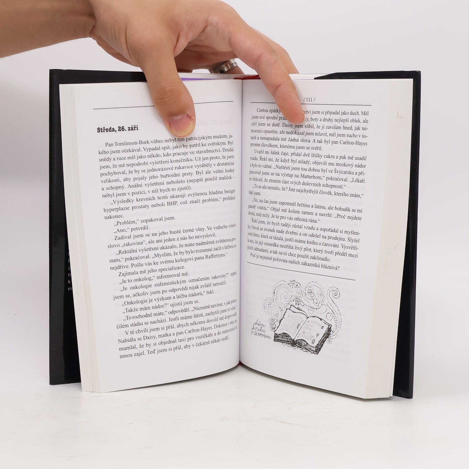 Sue Townsend Adrian Mole – Léta prostoty