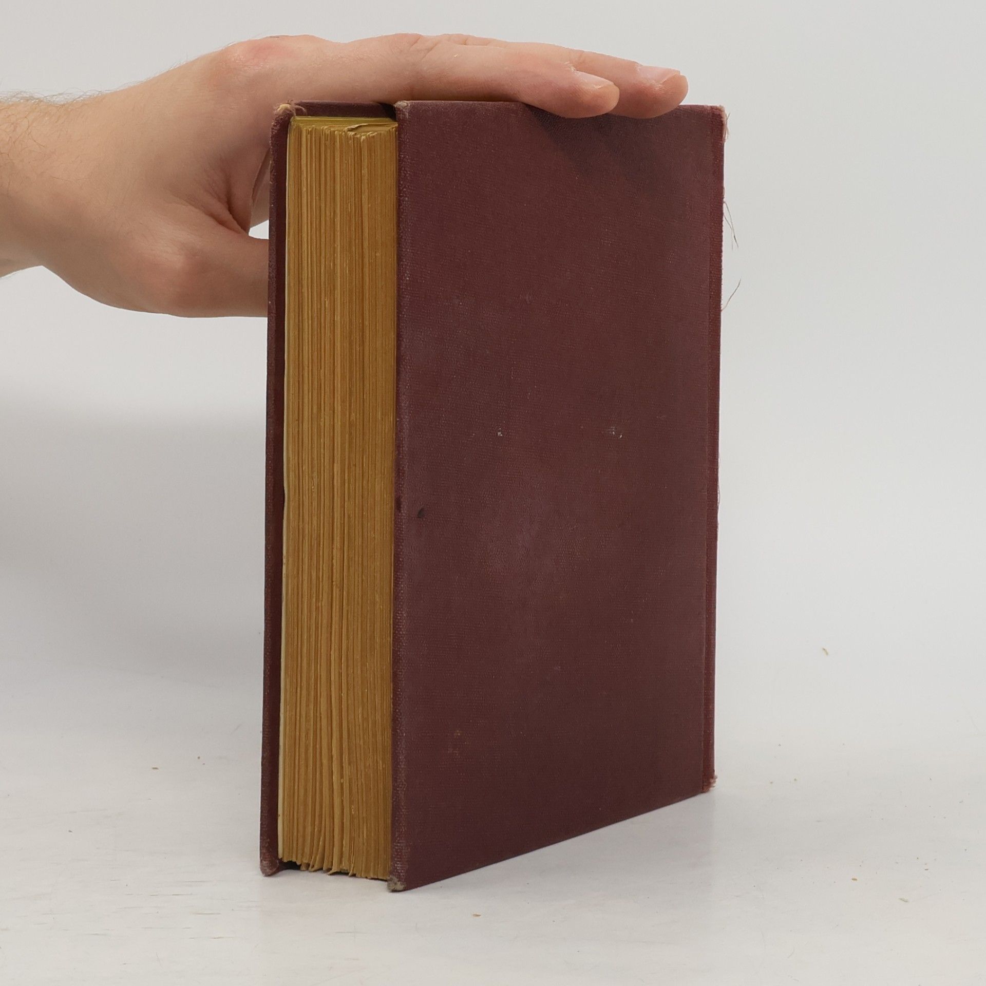 Alexandre Dumas starší Tři mušketýři po dvaceti letech I