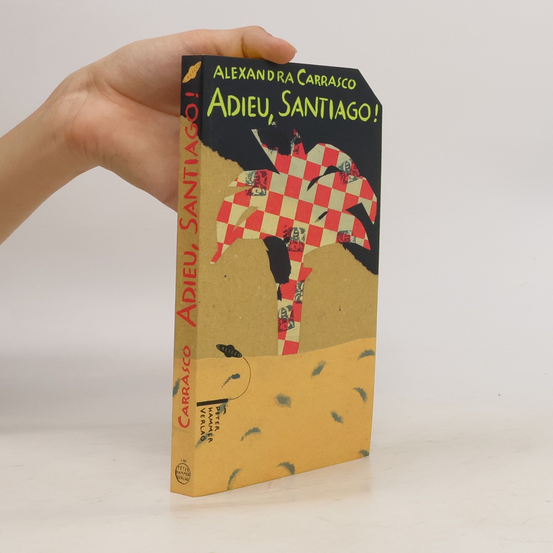 Alexandra Carrasco Adieu, Santiago!