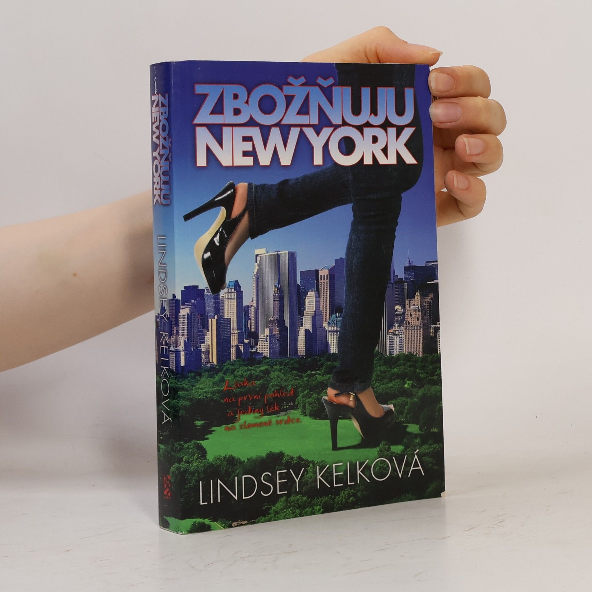 Lindsey Kelk Zbožňuju New York