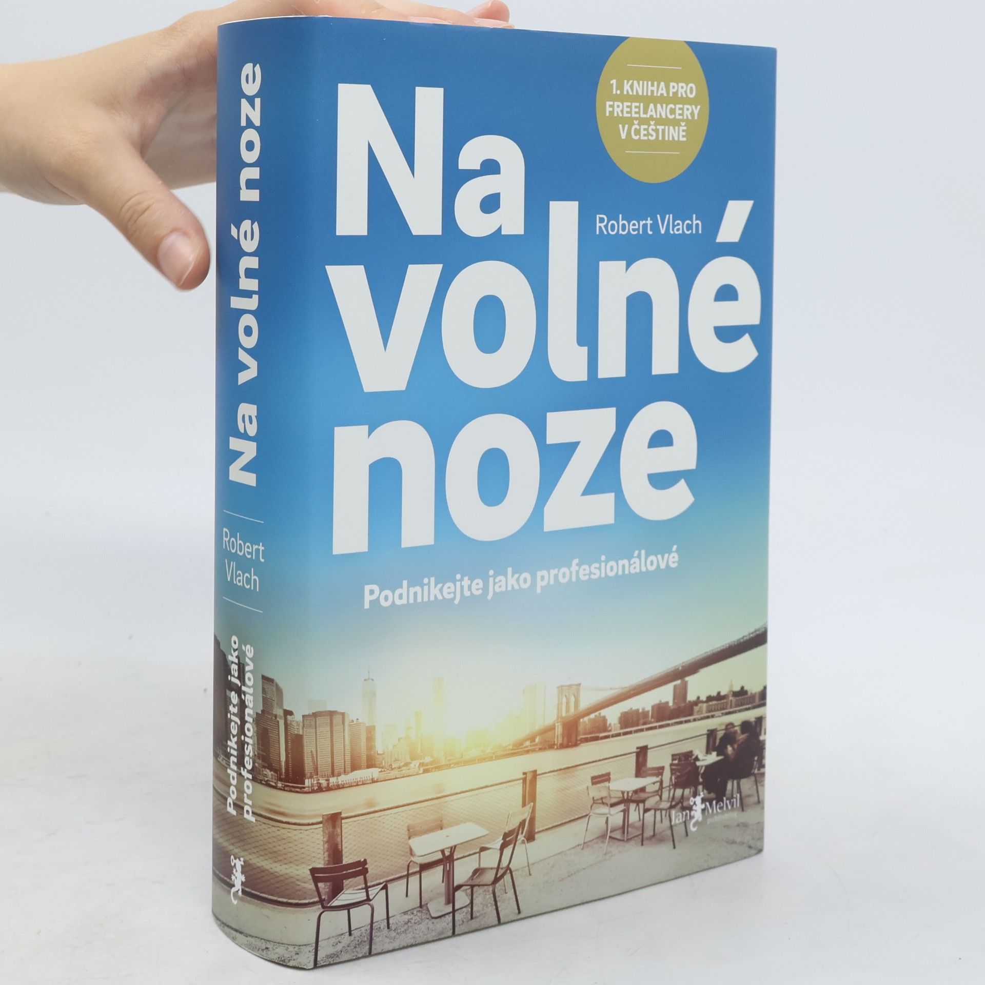 Robert Vlach (podnikatel) Na volné noze