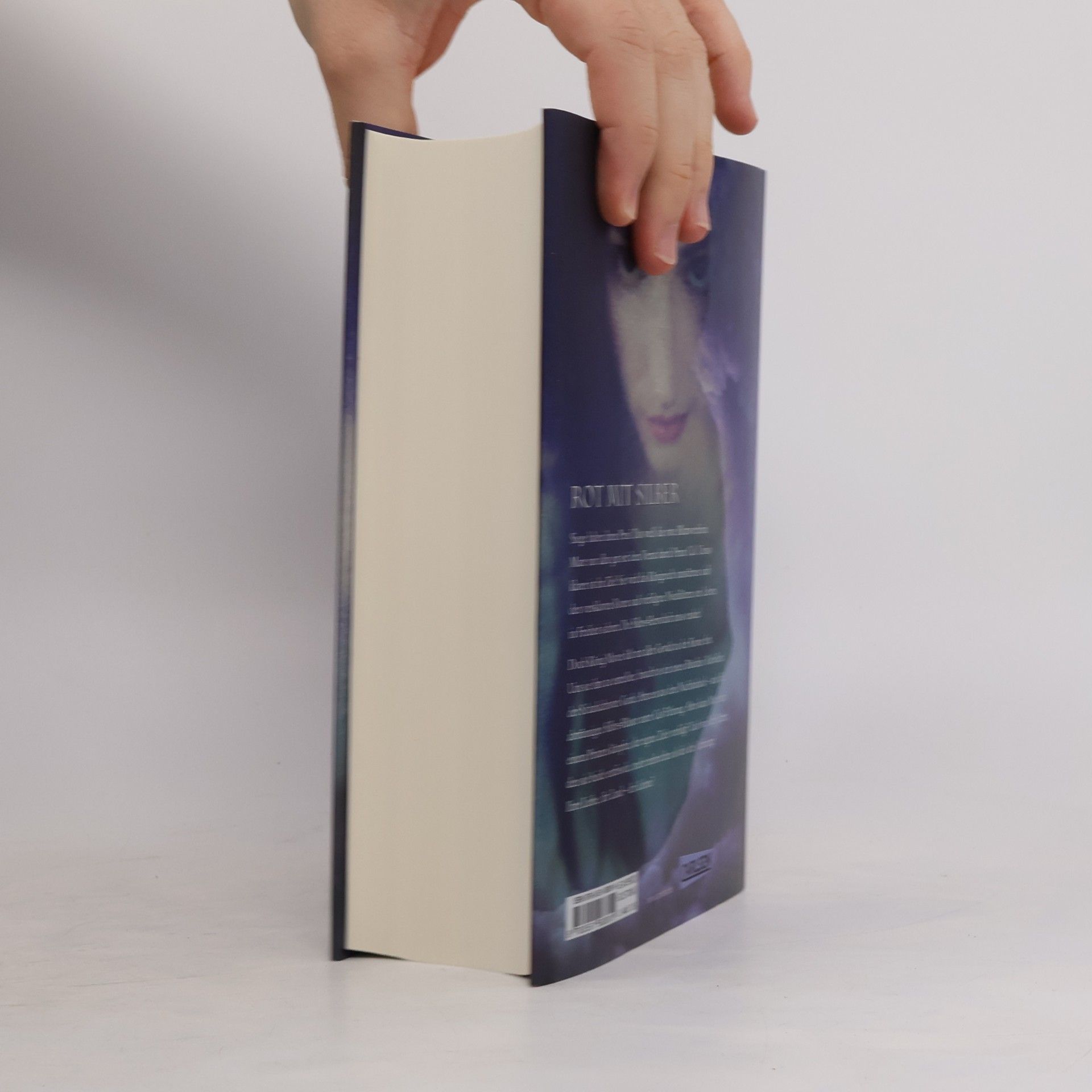 Victoria Aveyard Wütender Sturm
