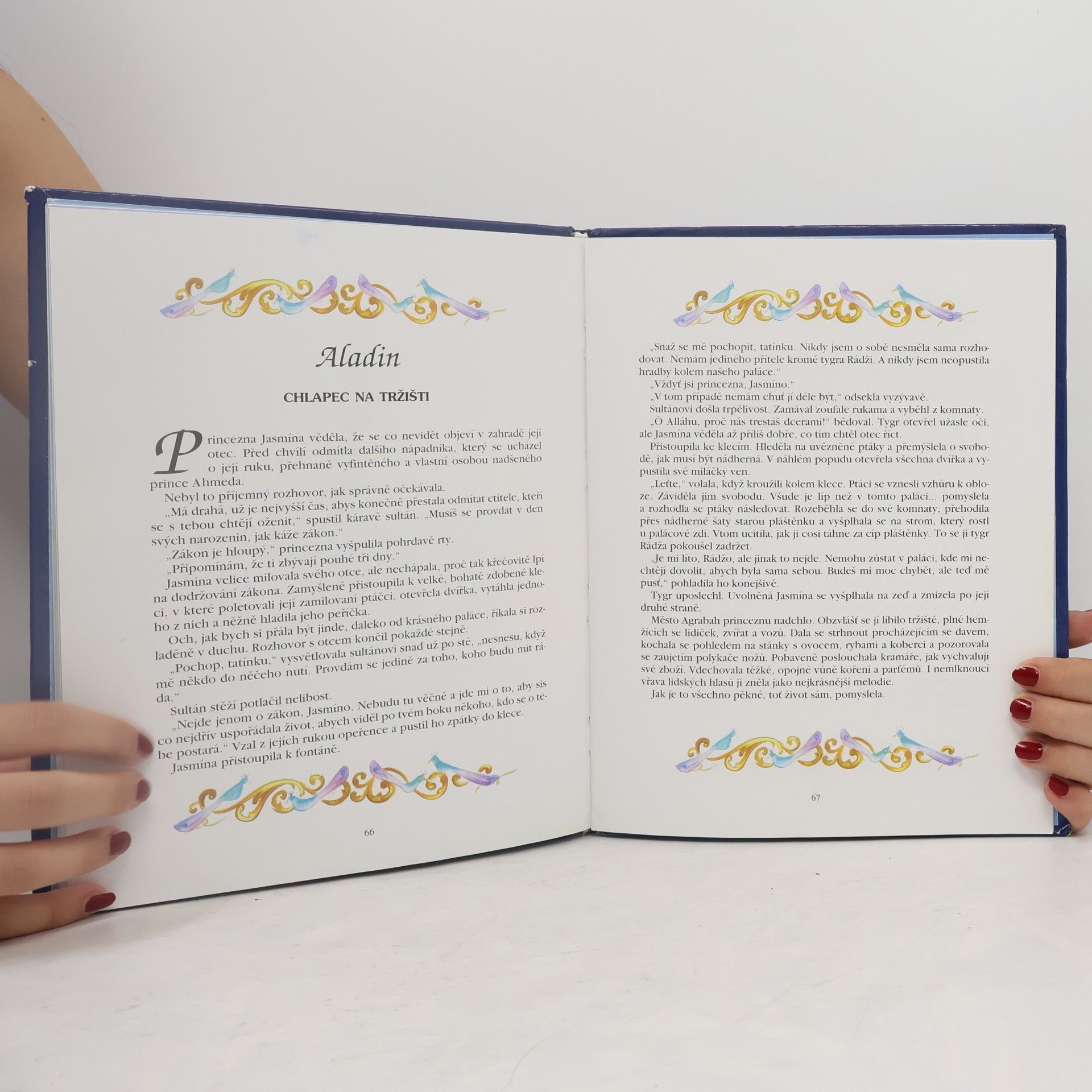 Walt Disney Kniha princezen