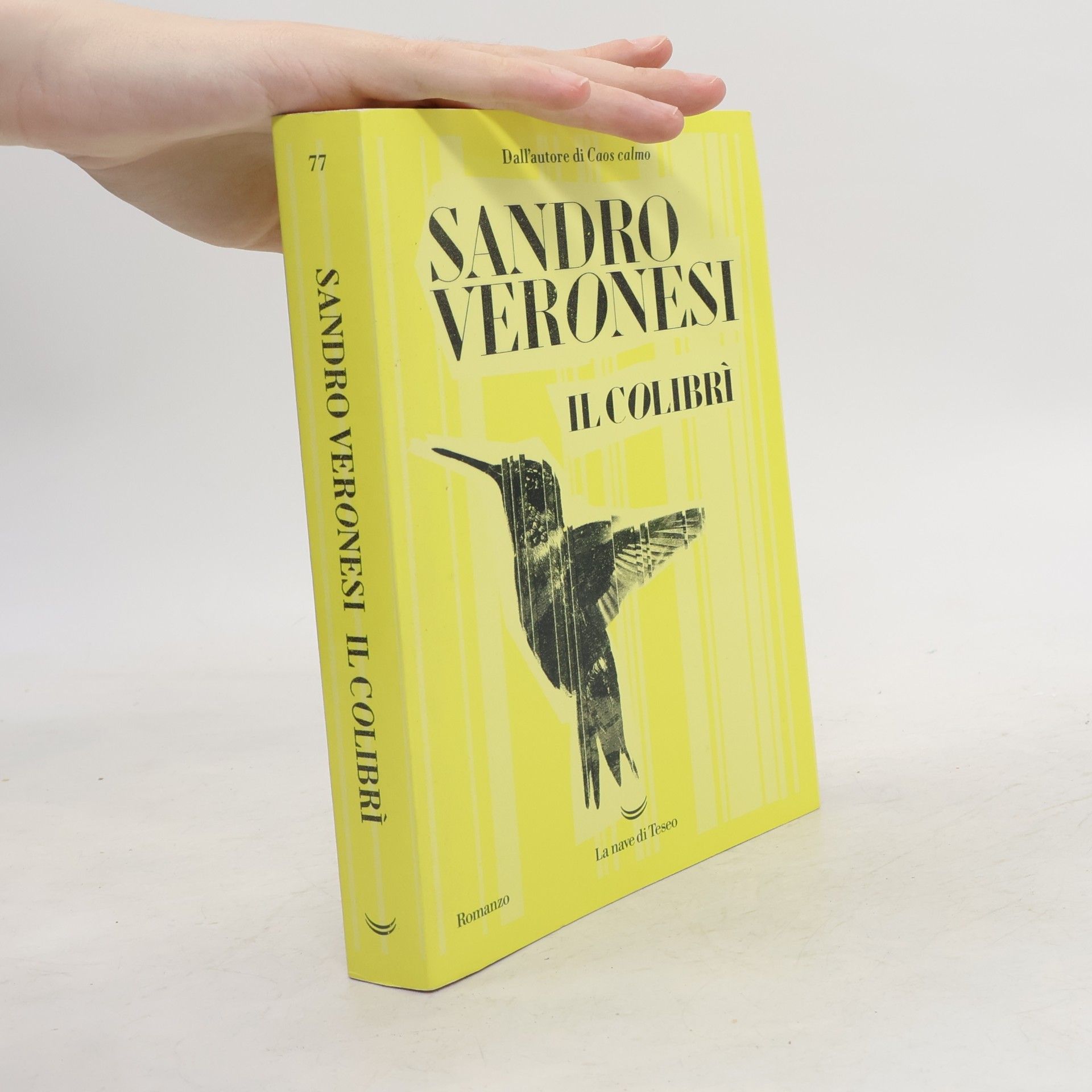 Sandro Veronesi Il colibrì