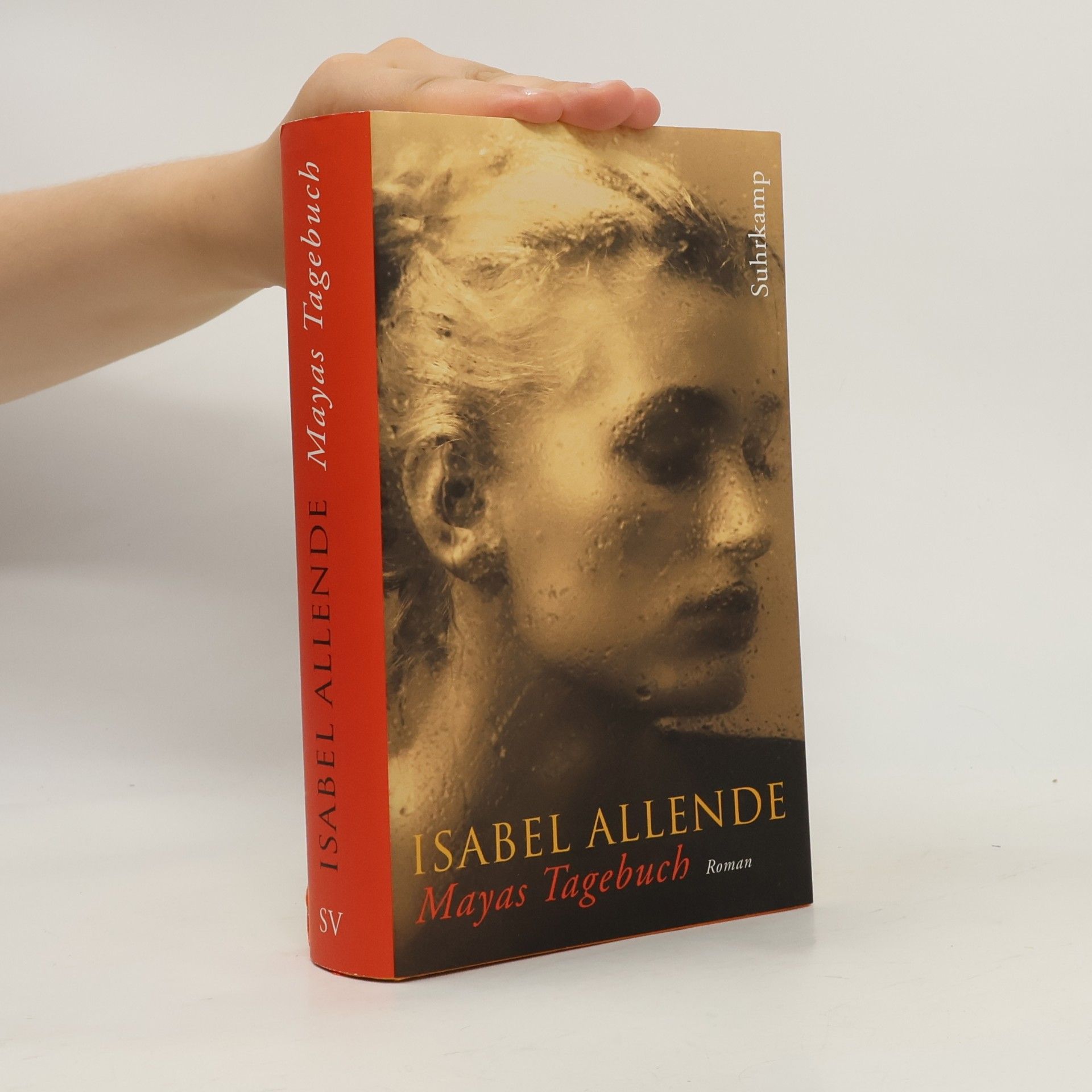Isabel Allende Mayas Tagebuch. Roman