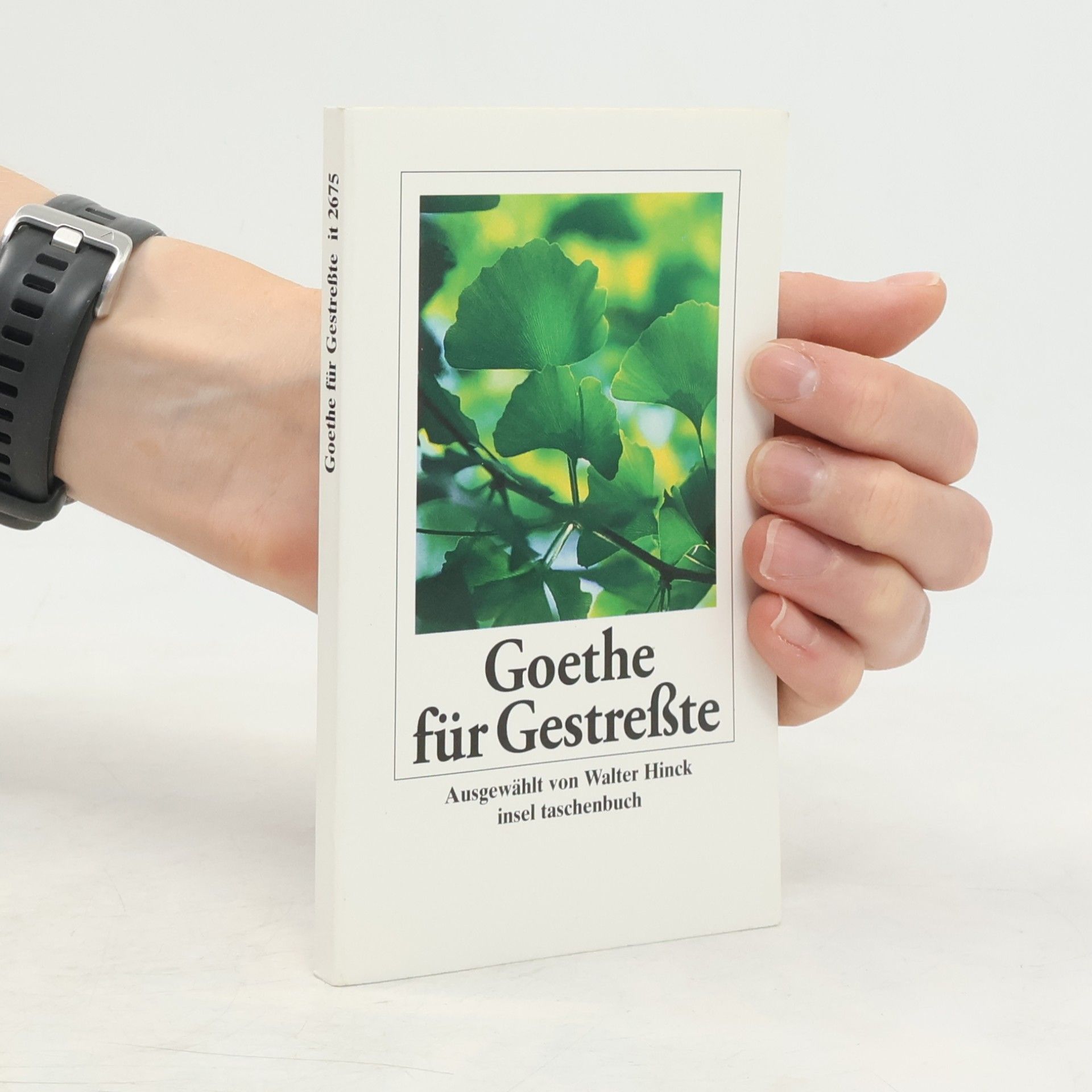 Johann Wolfgang von Goethe Goethe für Gestreßte