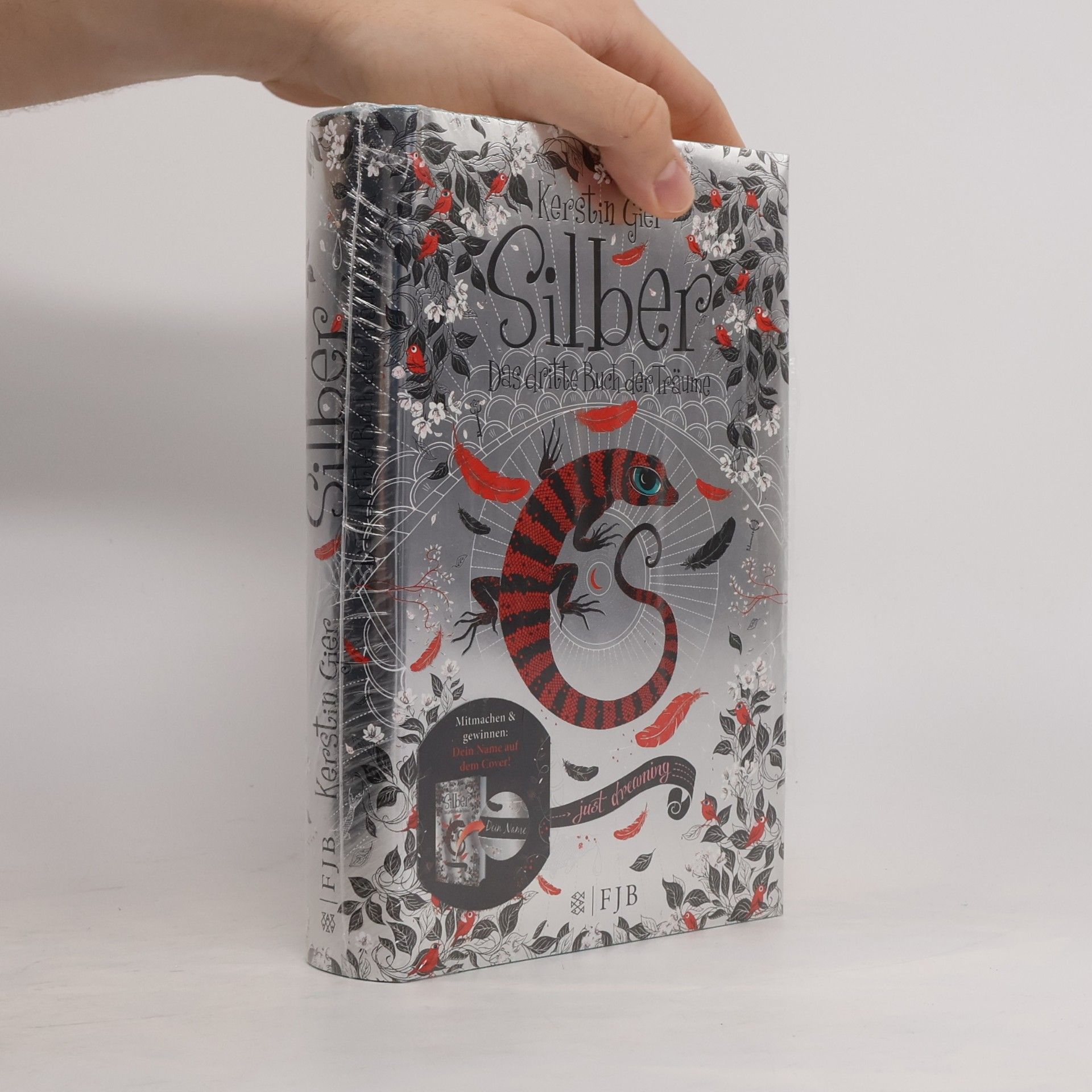 Kerstin Gier Silber. Das dritte Buch der Träume