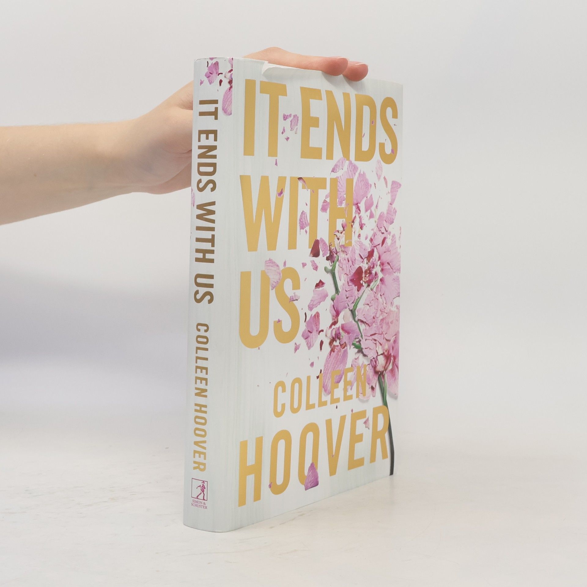 Colleen Hoover It Ends With Us