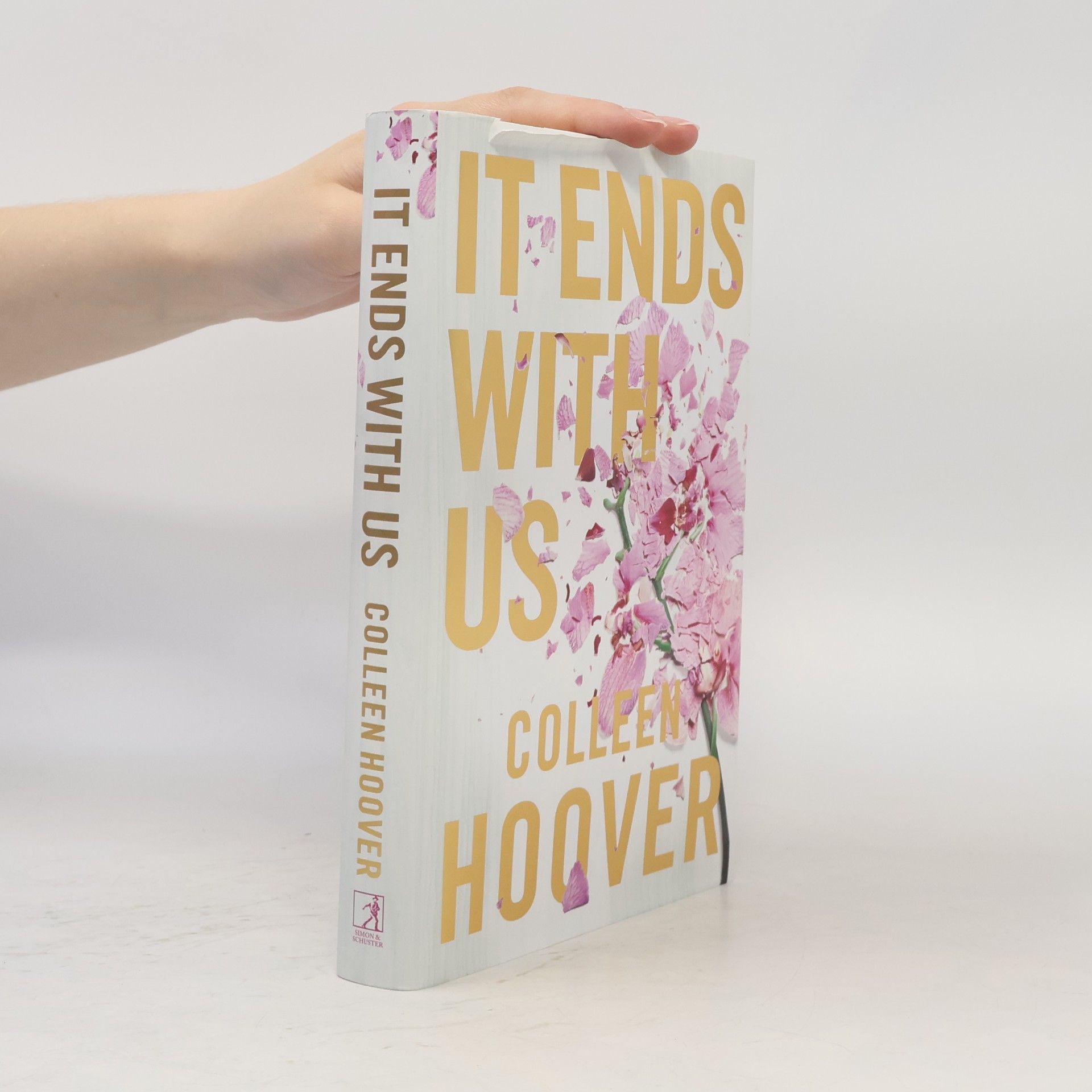 Colleen Hoover It Ends With Us