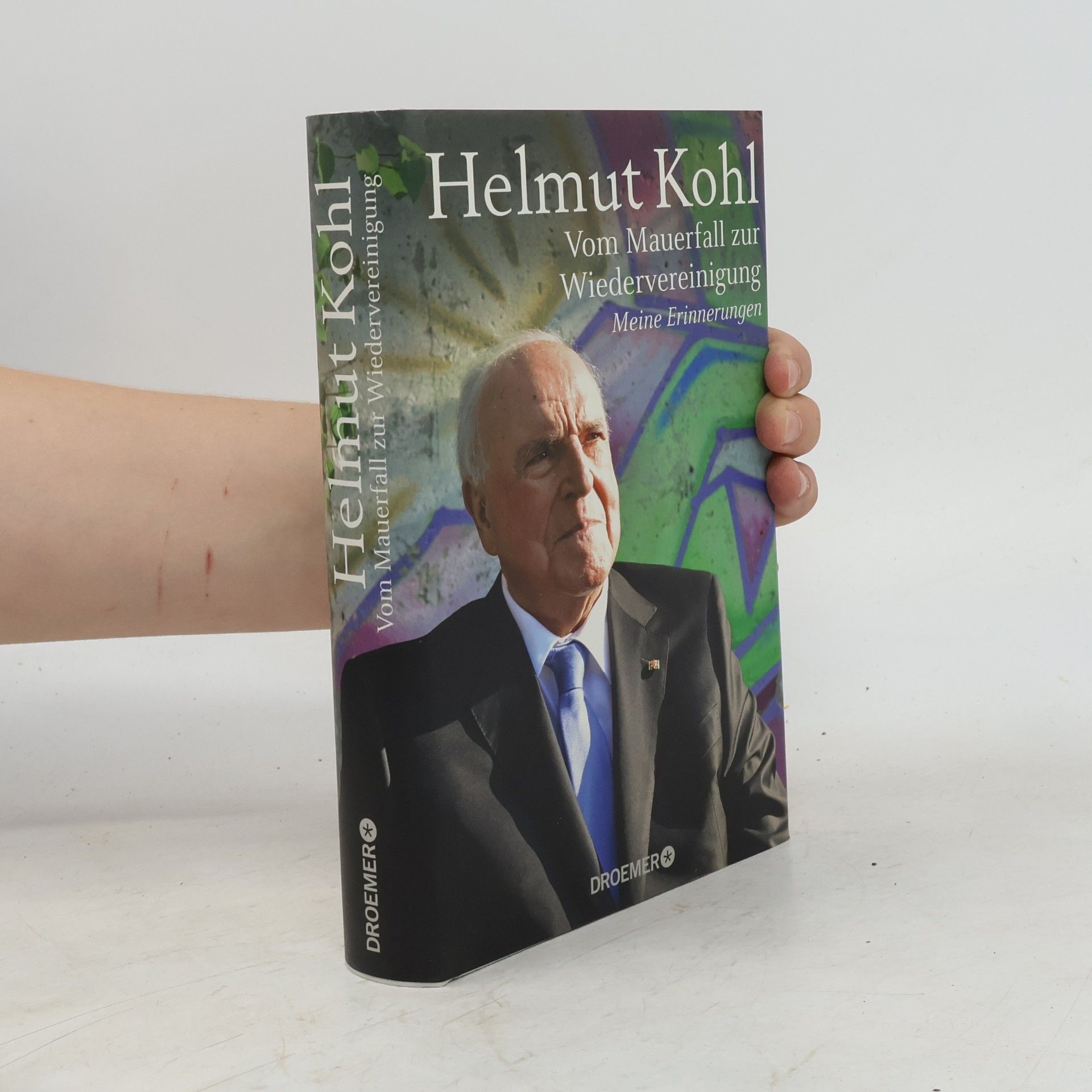 Vom Mauerfall zur Wiedervereinigung. Meine Erinnerungen