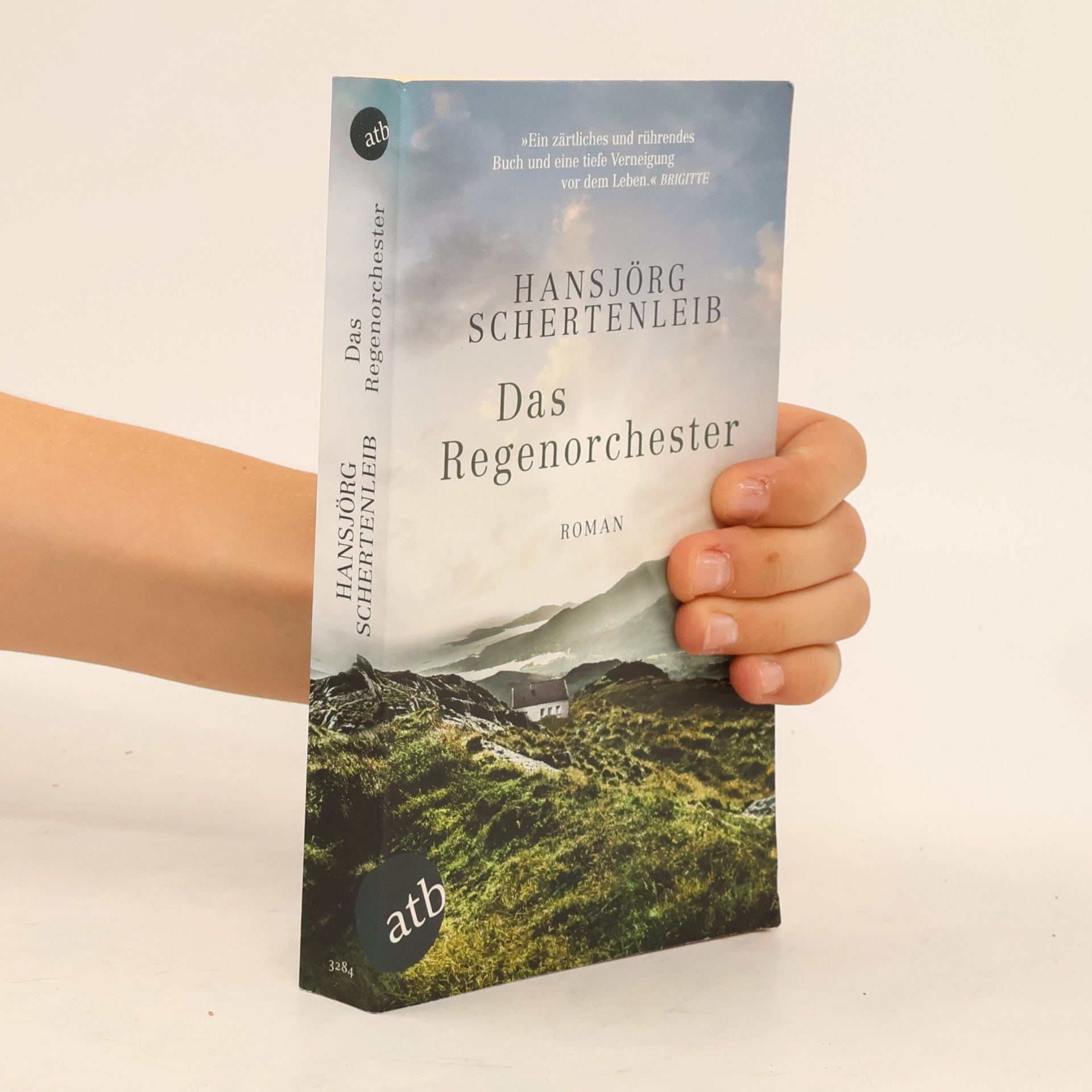 Hansjörg Schertenleib Das Regenorchester