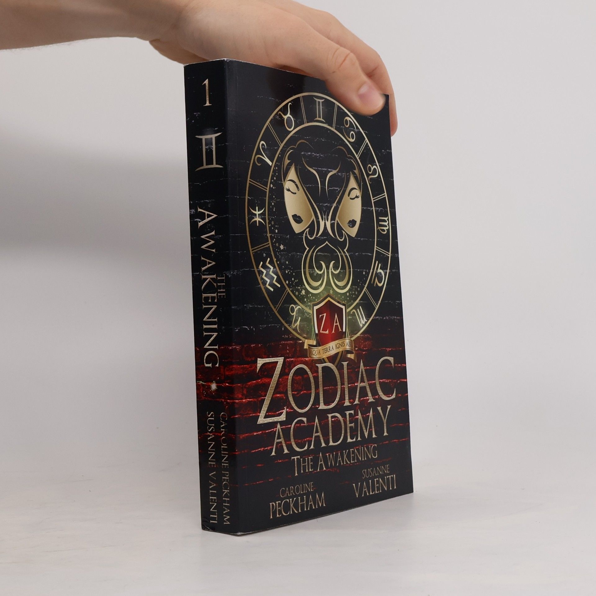 Susanne Valenti Zodiac Academy