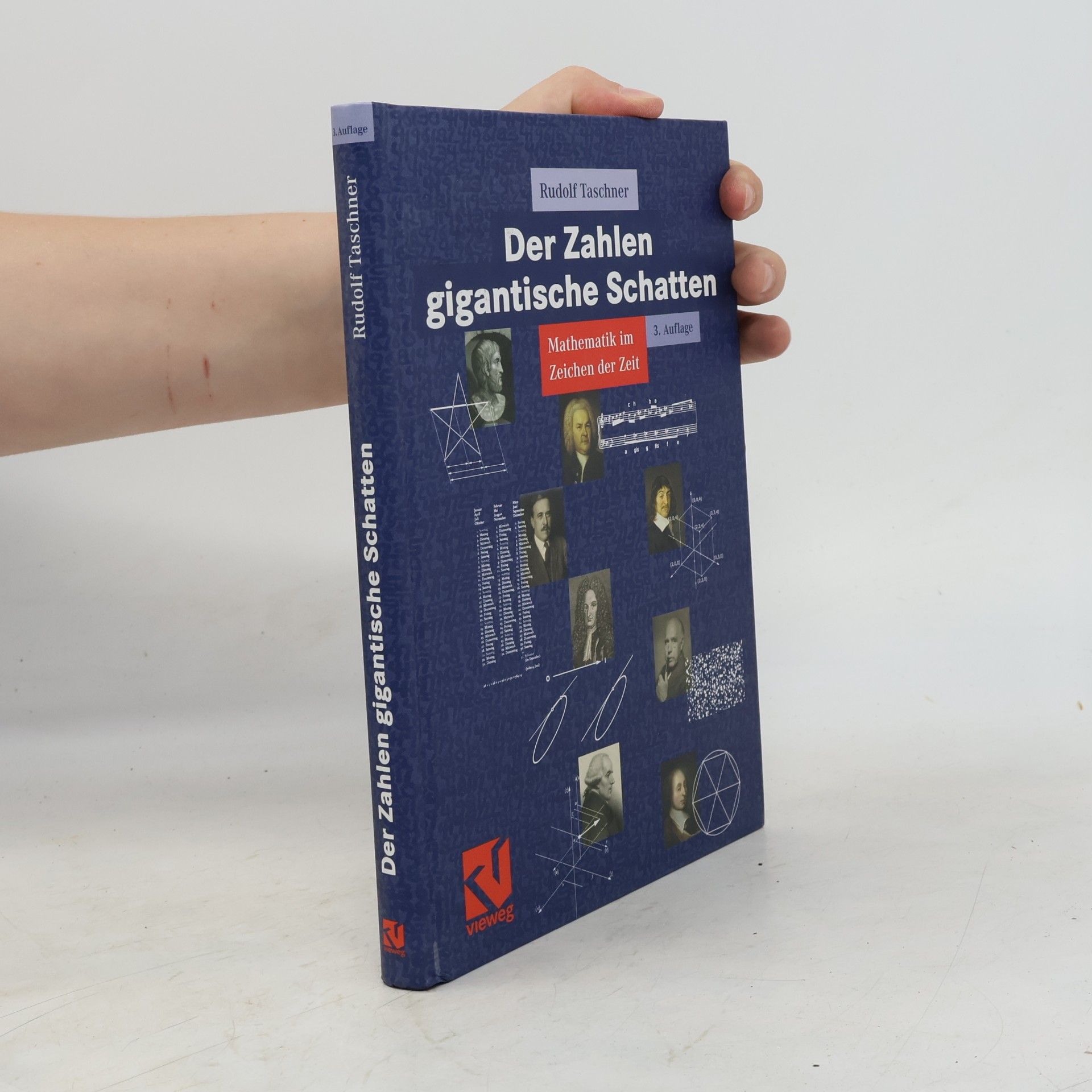 Rudolf Taschner Der Zahlen gigantische Schatten