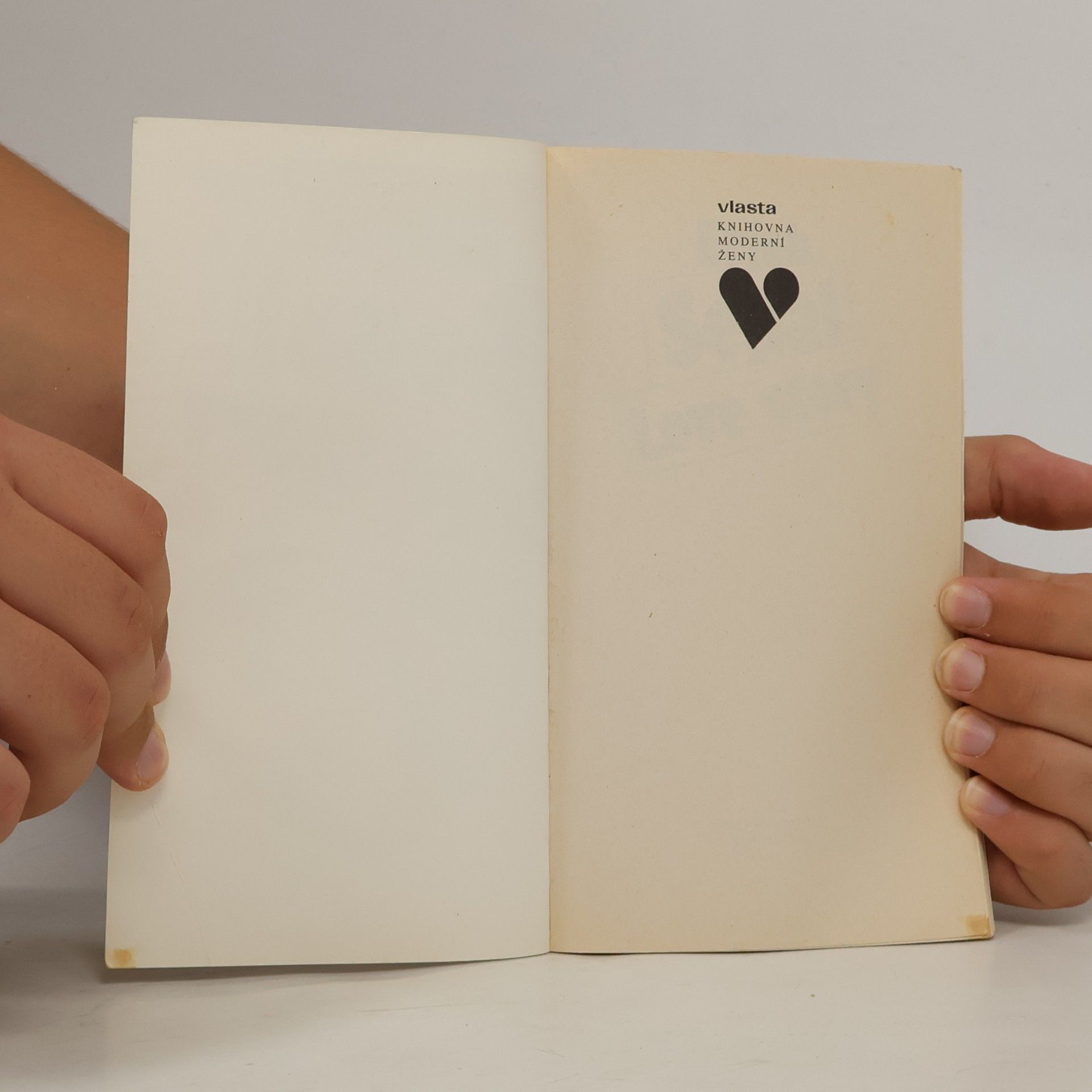 Erich Segal Love story