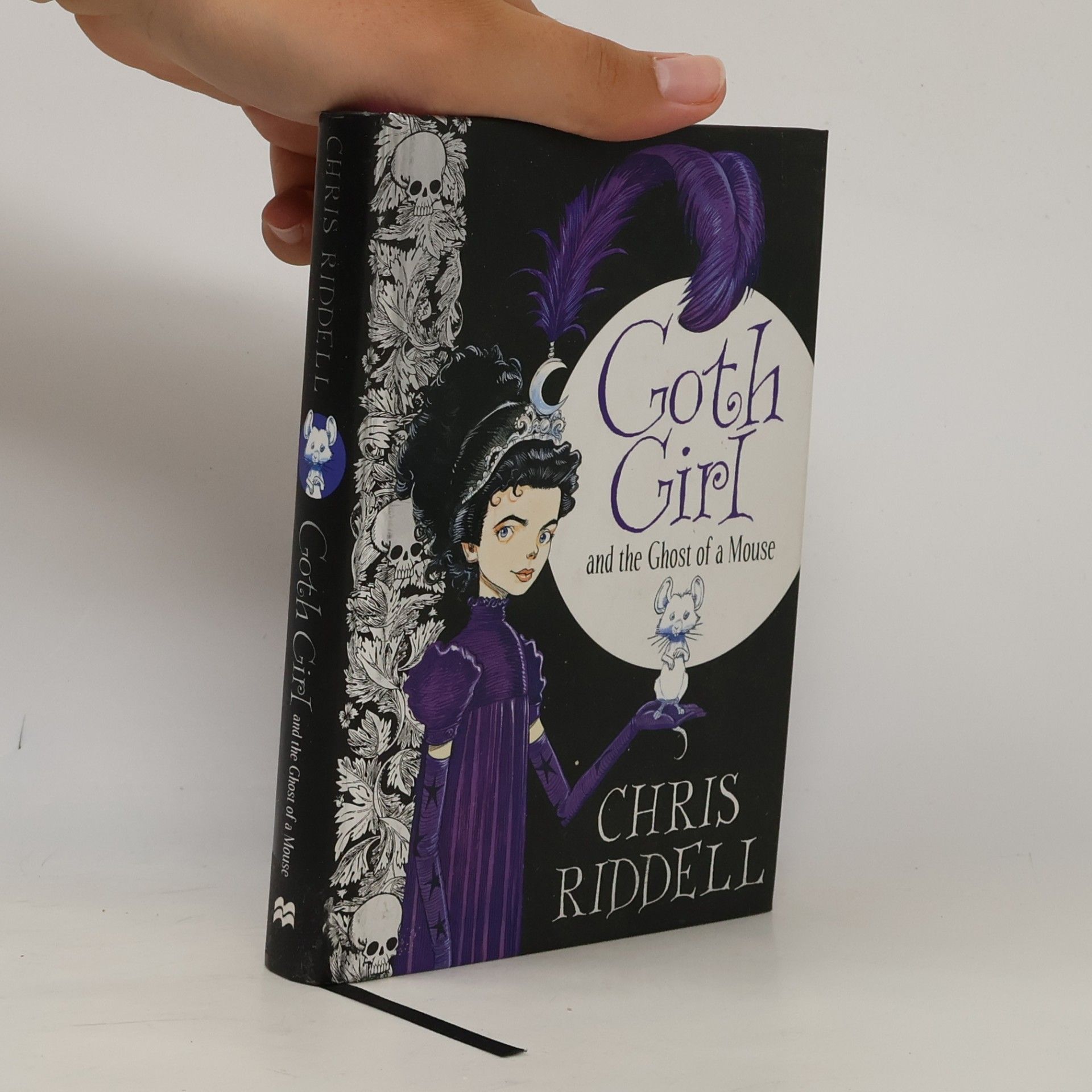 Chris Riddell Goth Girl and the Ghost of a Mouse