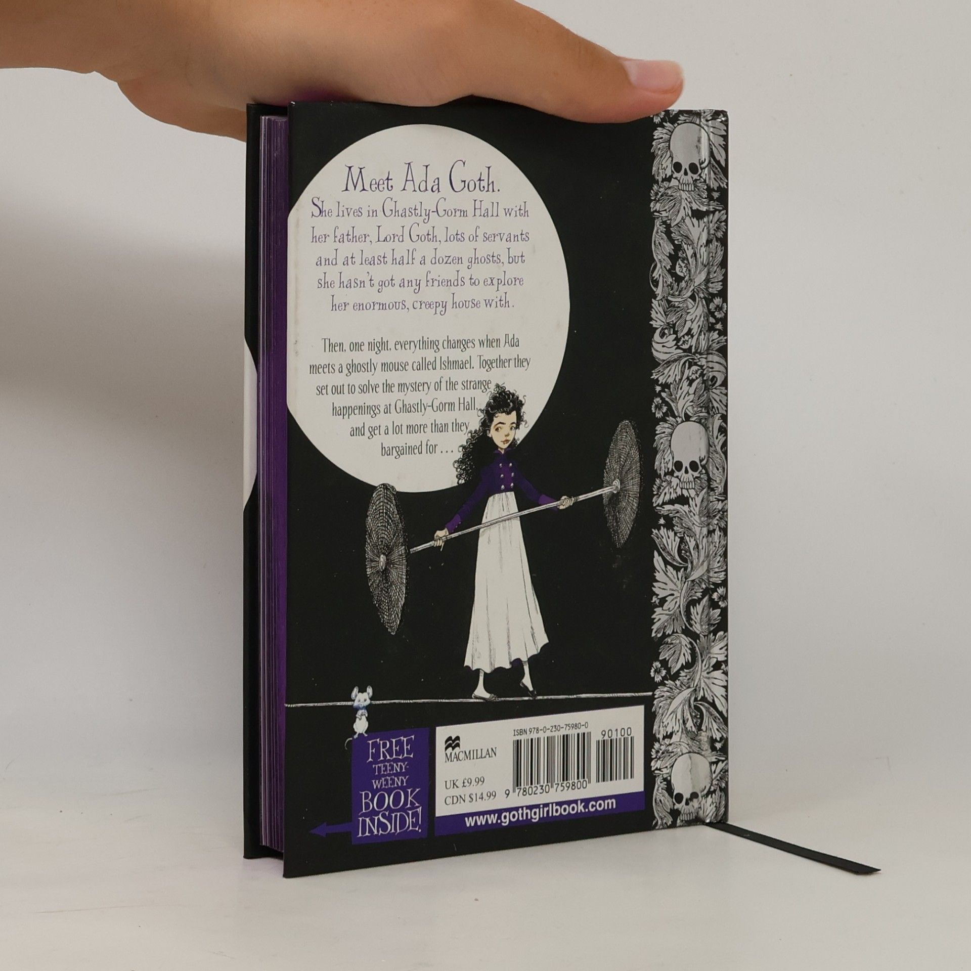 Chris Riddell Goth Girl and the Ghost of a Mouse