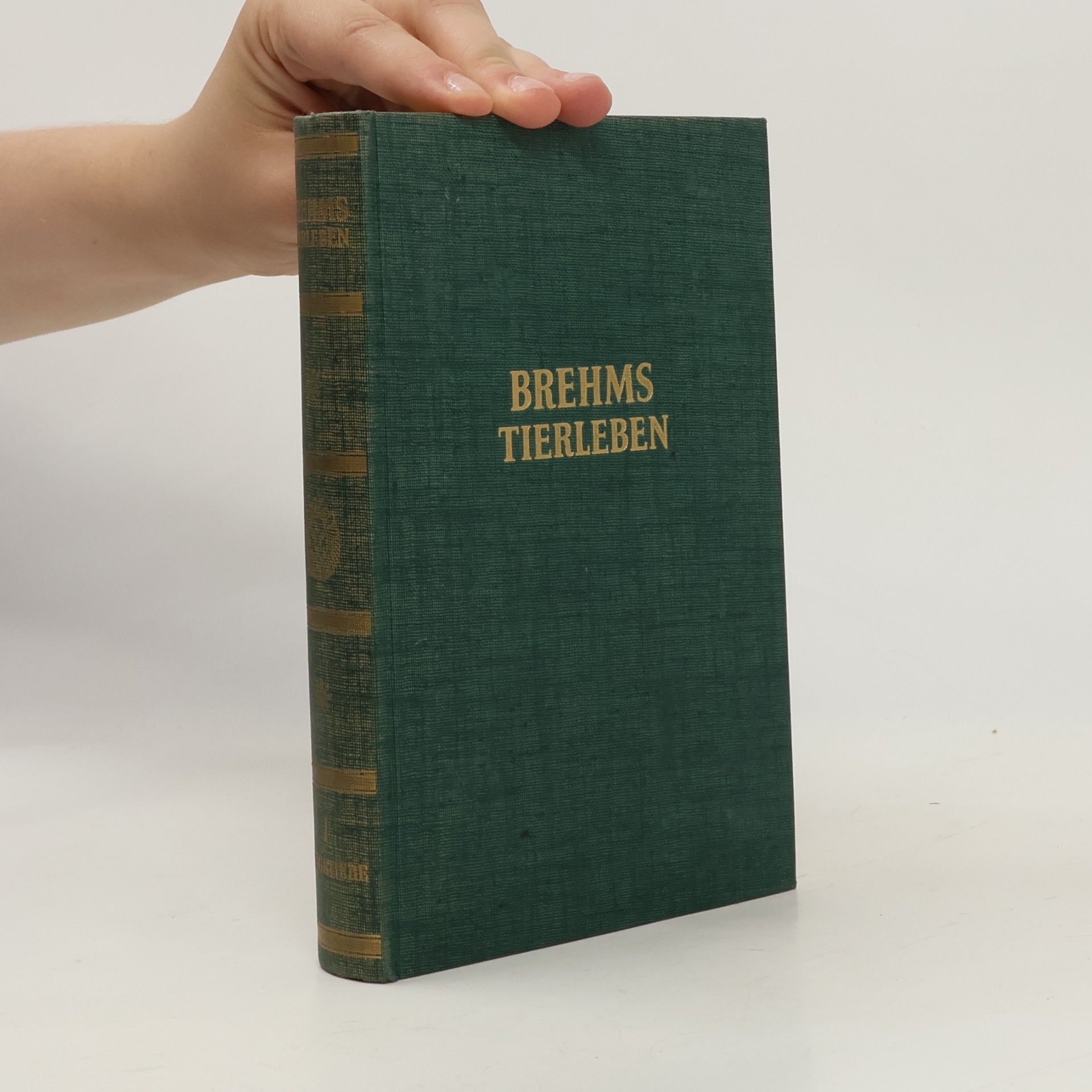 Adolf Meyer Brehms Tierleben I.