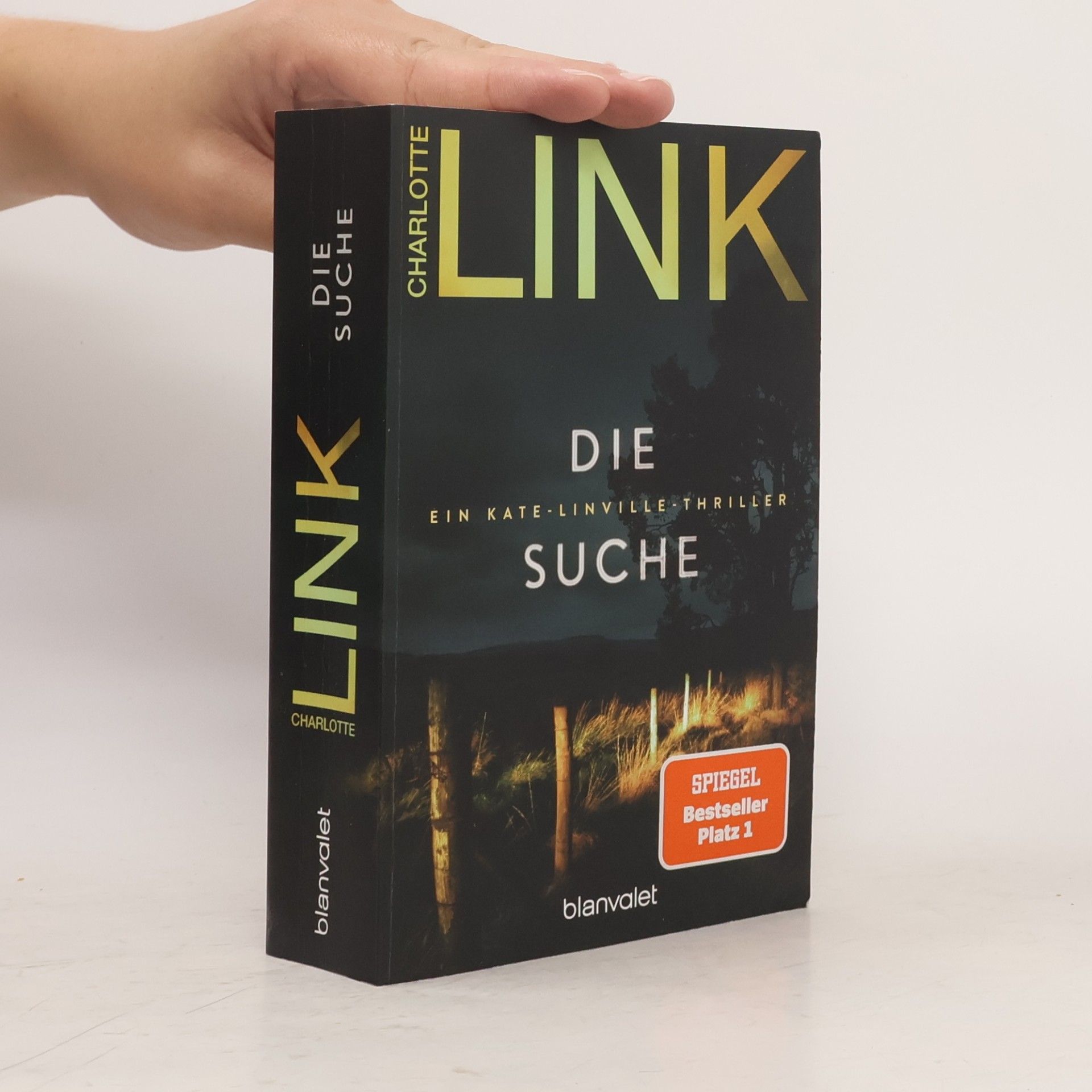 Charlotte Link Kate-Linville-Thriller - 2: Die Suche