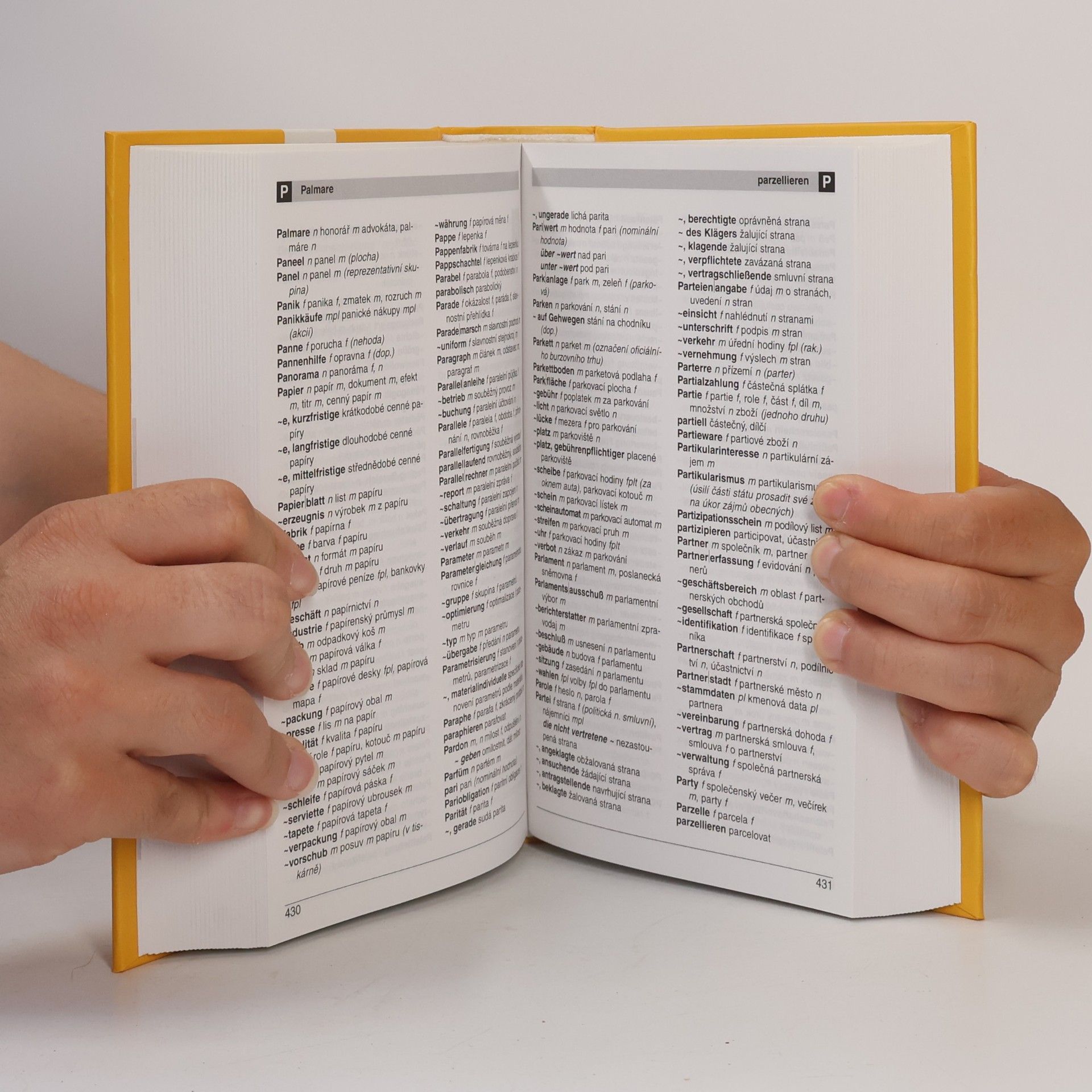 Josef Bürger Německo-český hospodářský slovník. Wirtschaftswörterbuch Deutsch-Tschechisch.