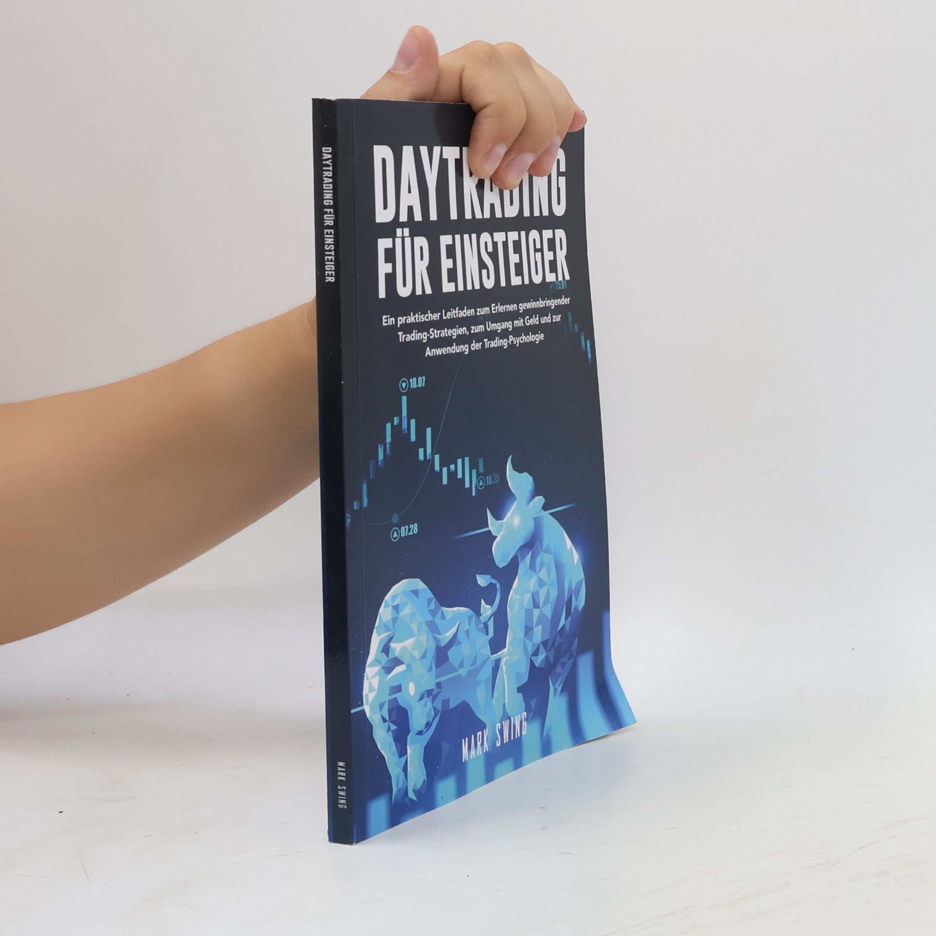 Mark Swing Daytrading für Einsteiger: Ein praktischer Leitfaden zum Erlernen gewinnbringender Trading-Strategien, zum Umgang mit Geld und zur Anwendung der Trading-Psychologie