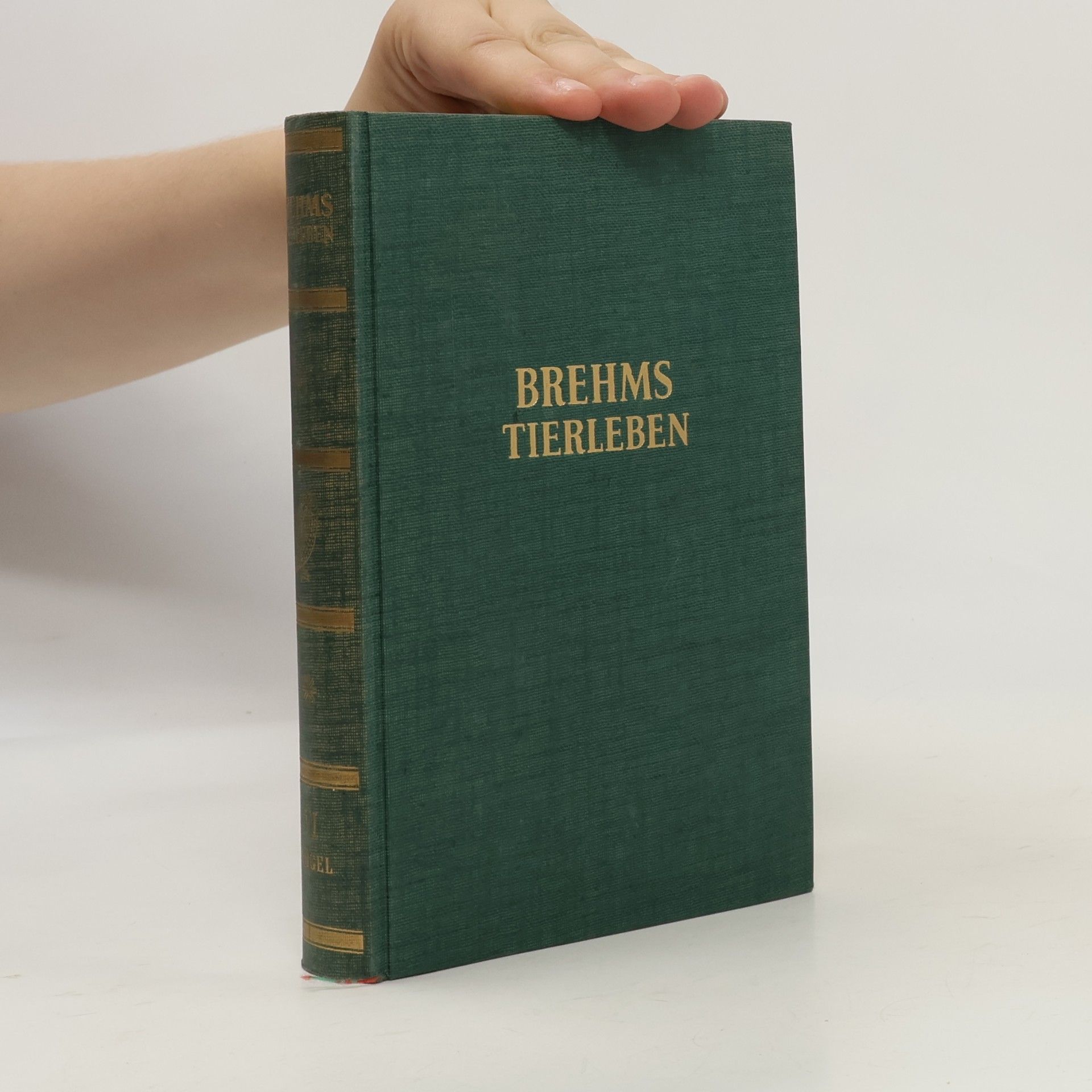 Adolf Meyer Abich Brehms Tierleben
