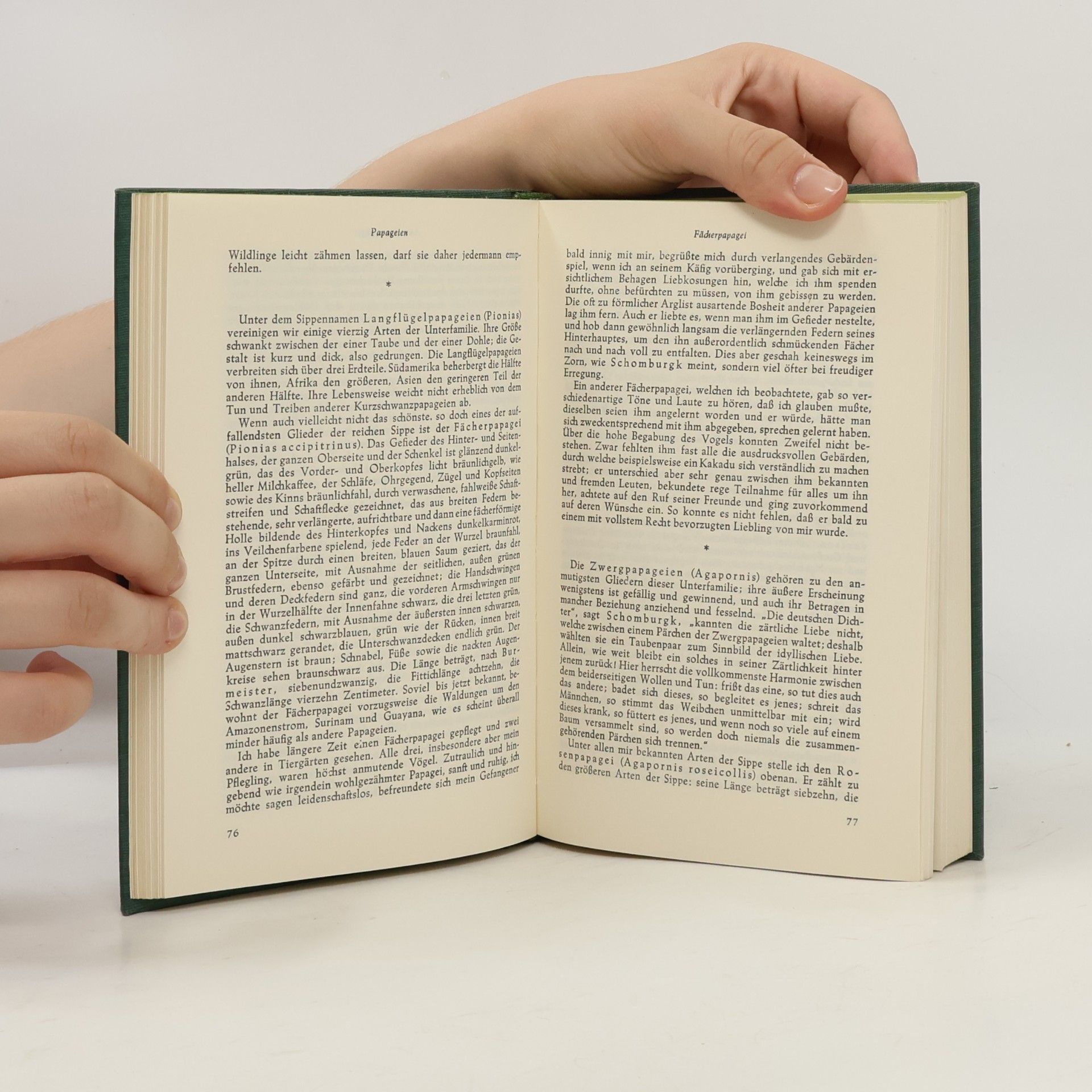Adolf Meyer Abich Brehms Tierleben