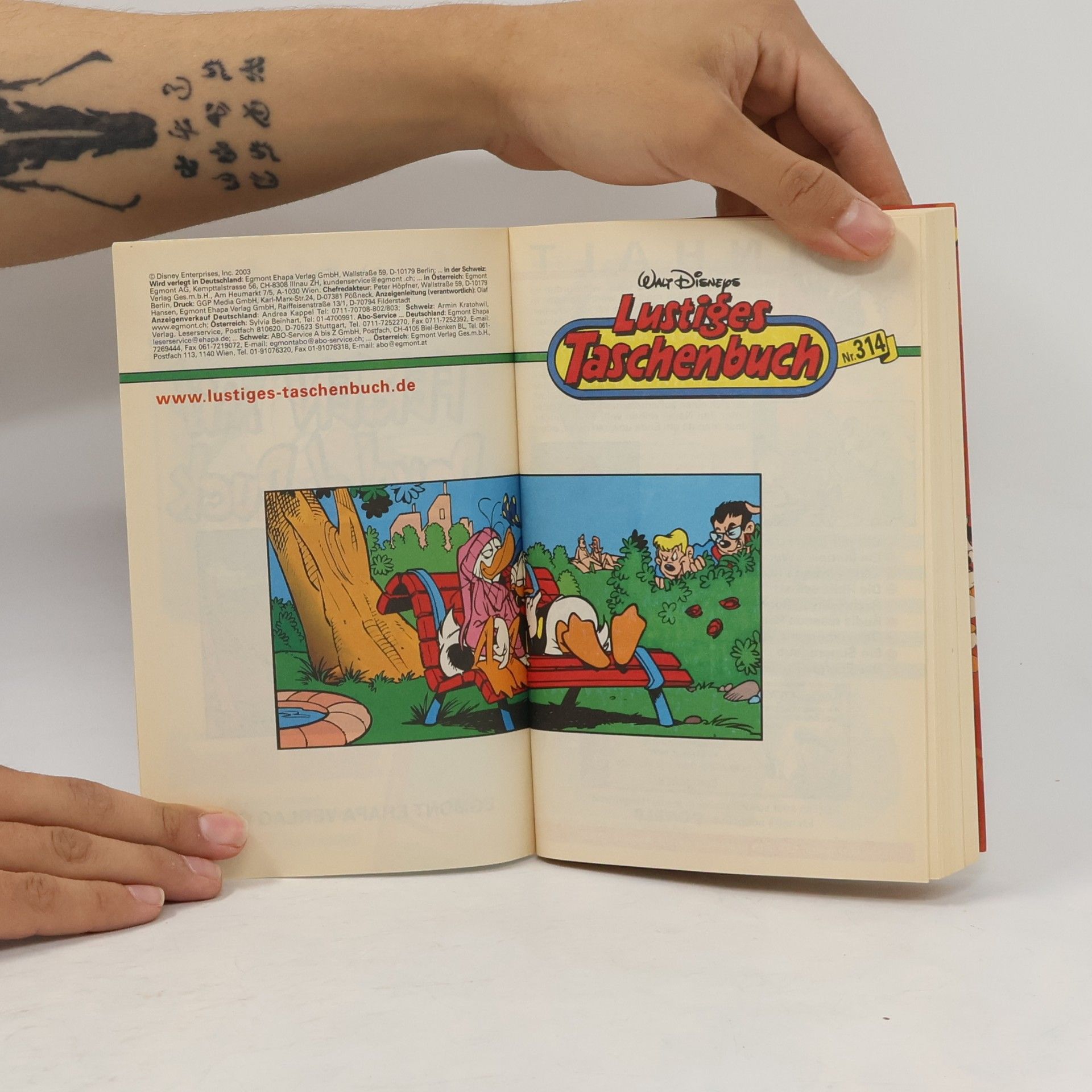Walt Disney Lustiges Taschenbuch 314. Ferien mit Donald Duck