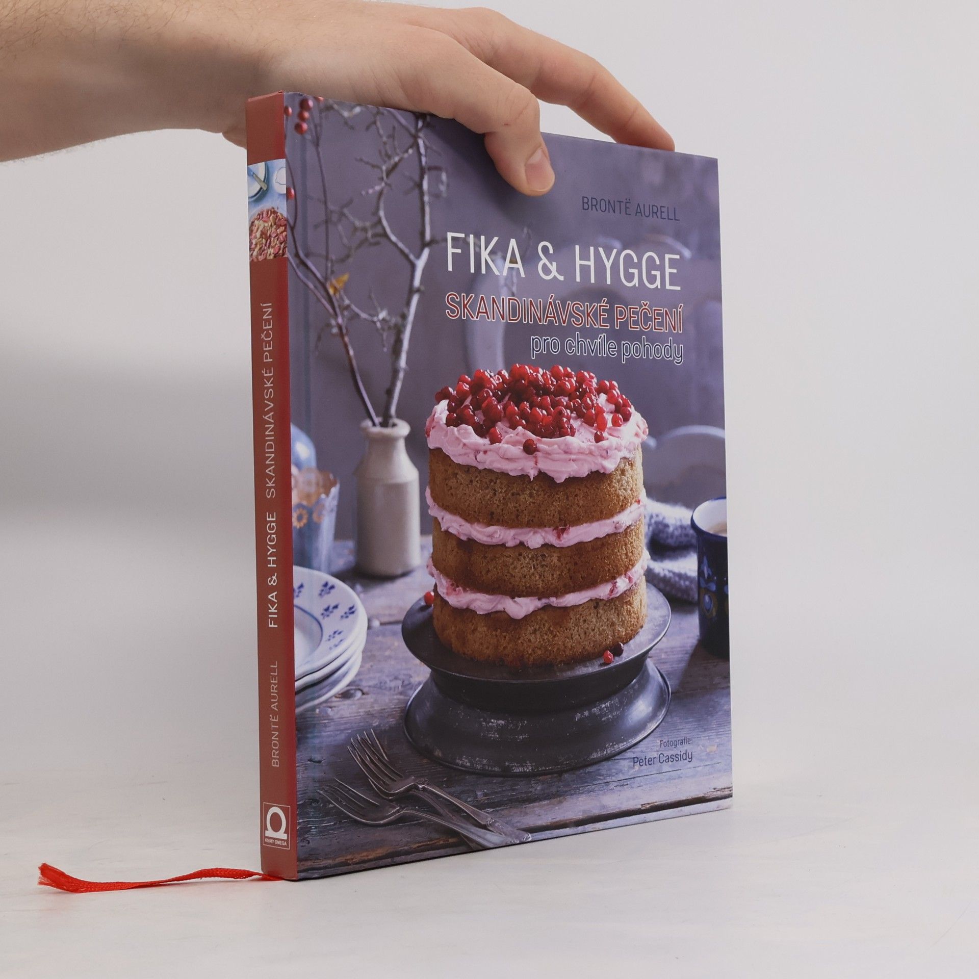 Brontë Aurell Fika & hygge. Skandinávské pečení pro chvíle pohody