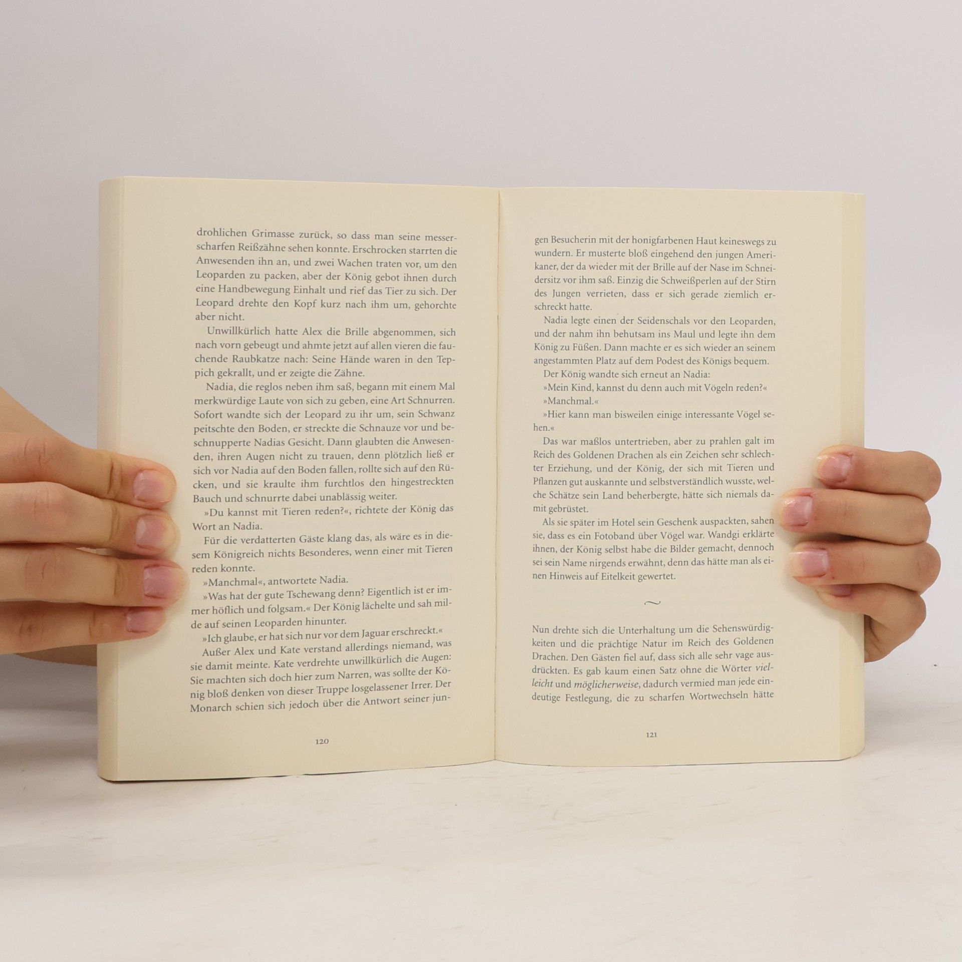 Isabel Allende Im Reich des goldenen Drachen