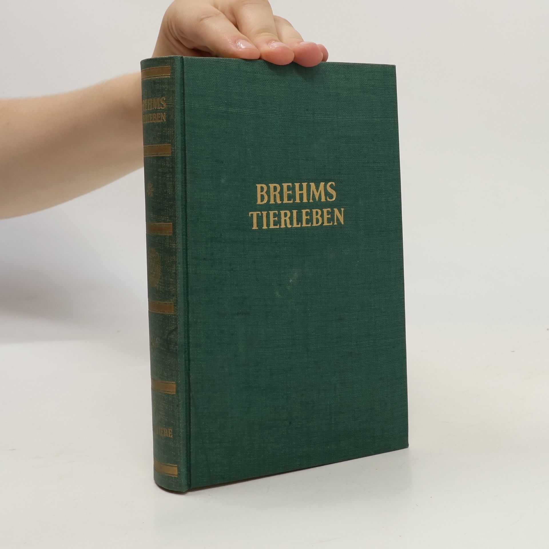 Alfred Edmund Brehm Brehms Tierleben V
