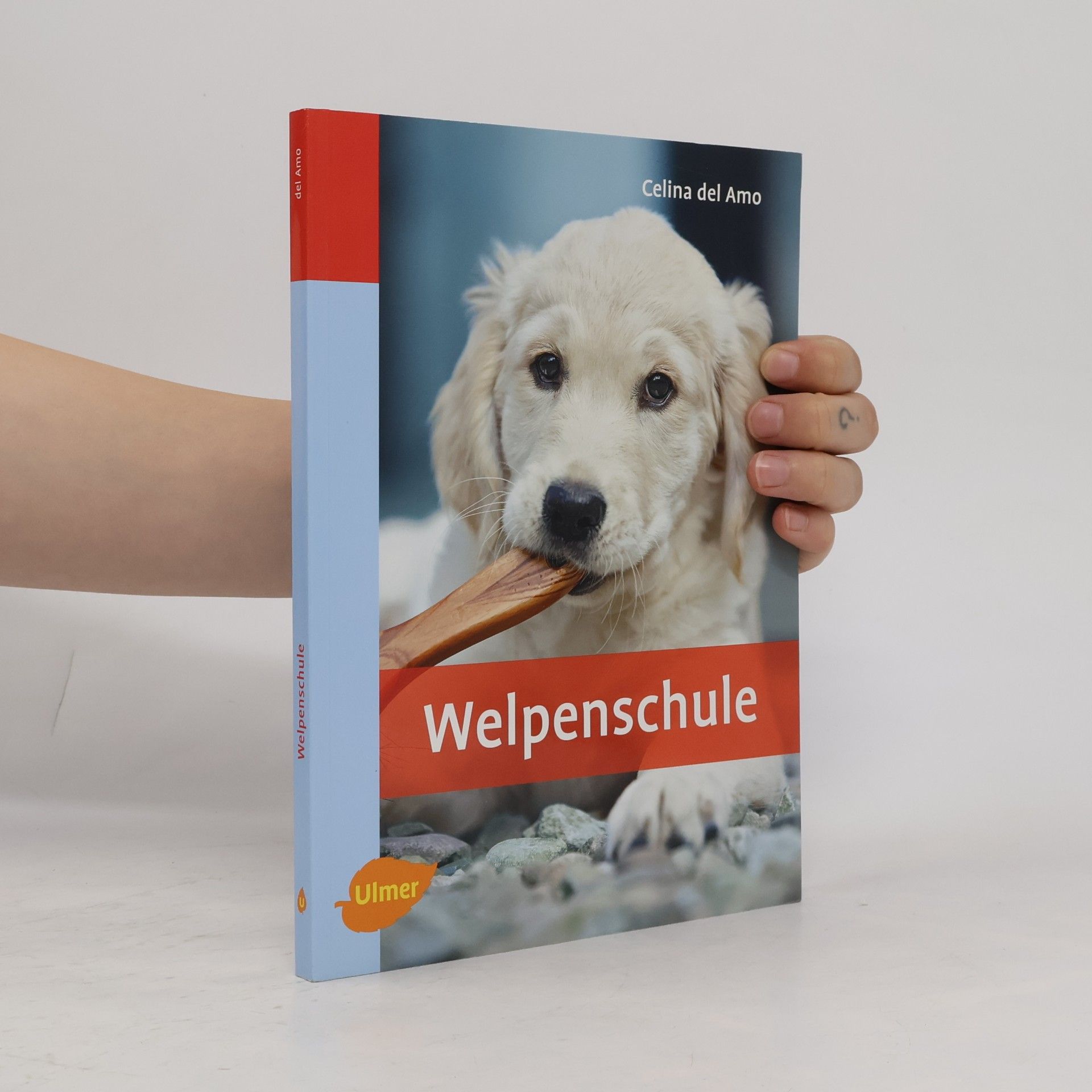Celina Del Amo Welpenschule