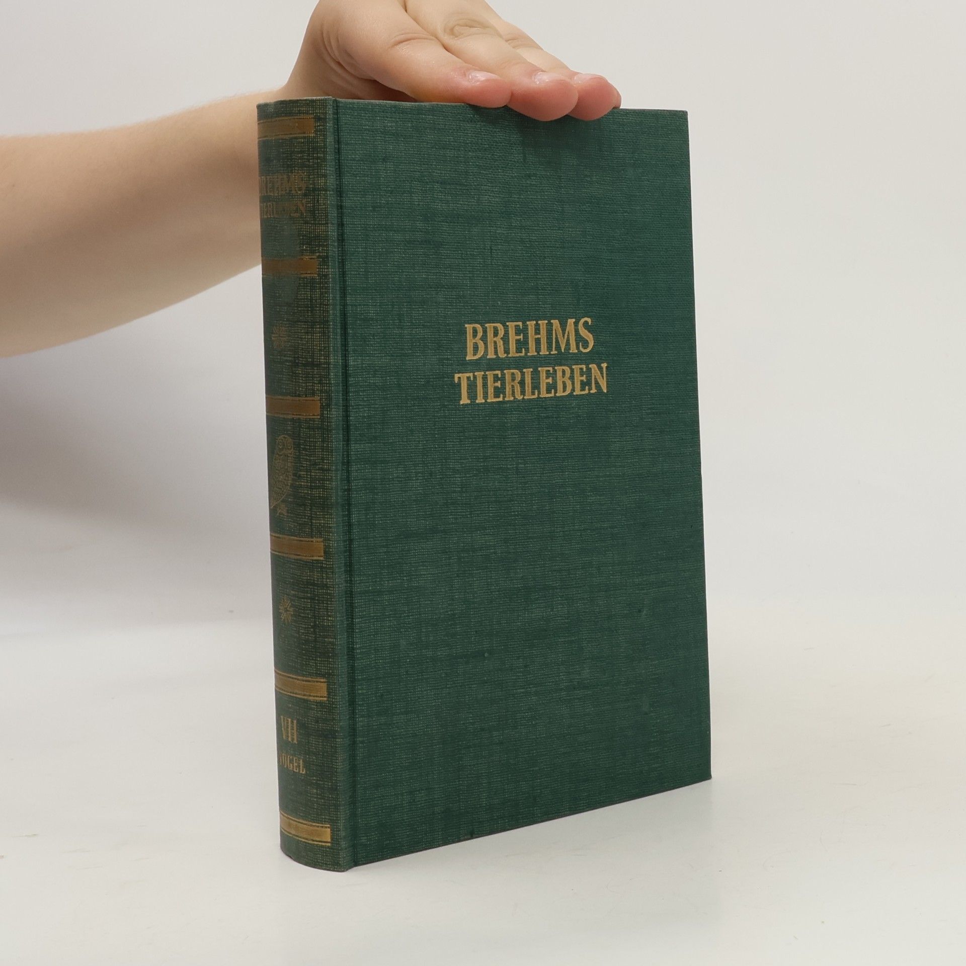 Brehms Tierleben 2. Säugetiere II