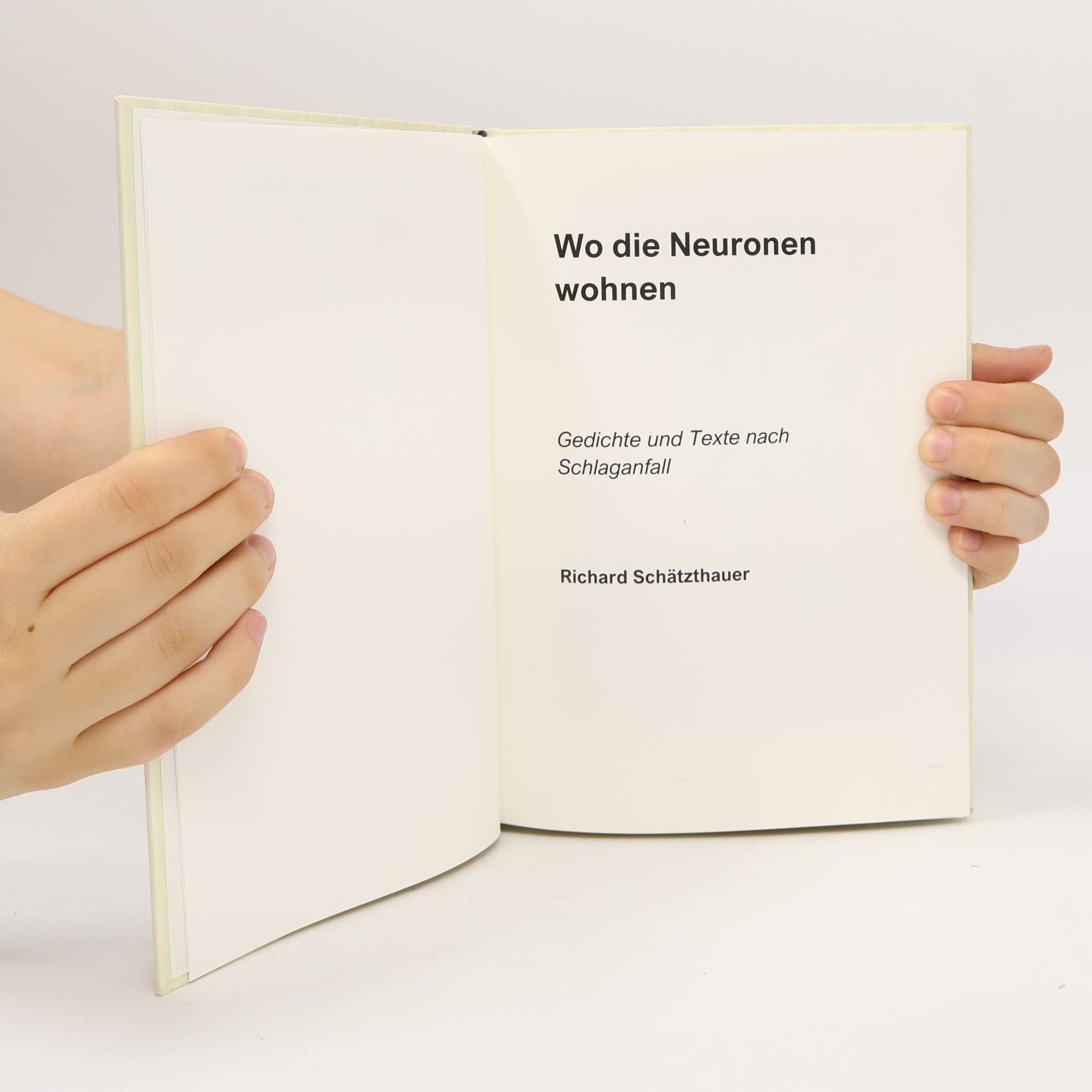 Richard Schätzthauer Wo die Neuronen wohnen
