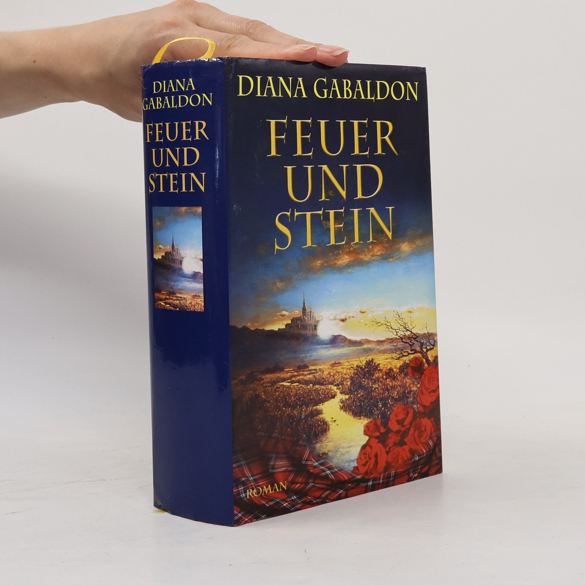 Diana Gabaldon Feuer und Stein