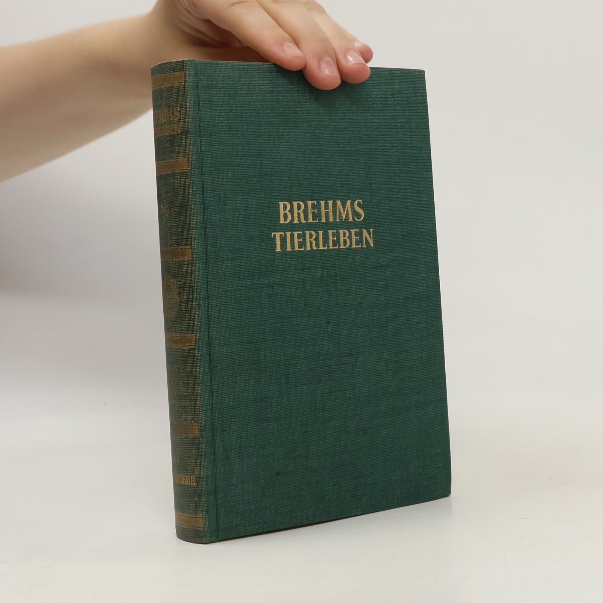 Autorenkollektiv Brehms Tierbelen 4