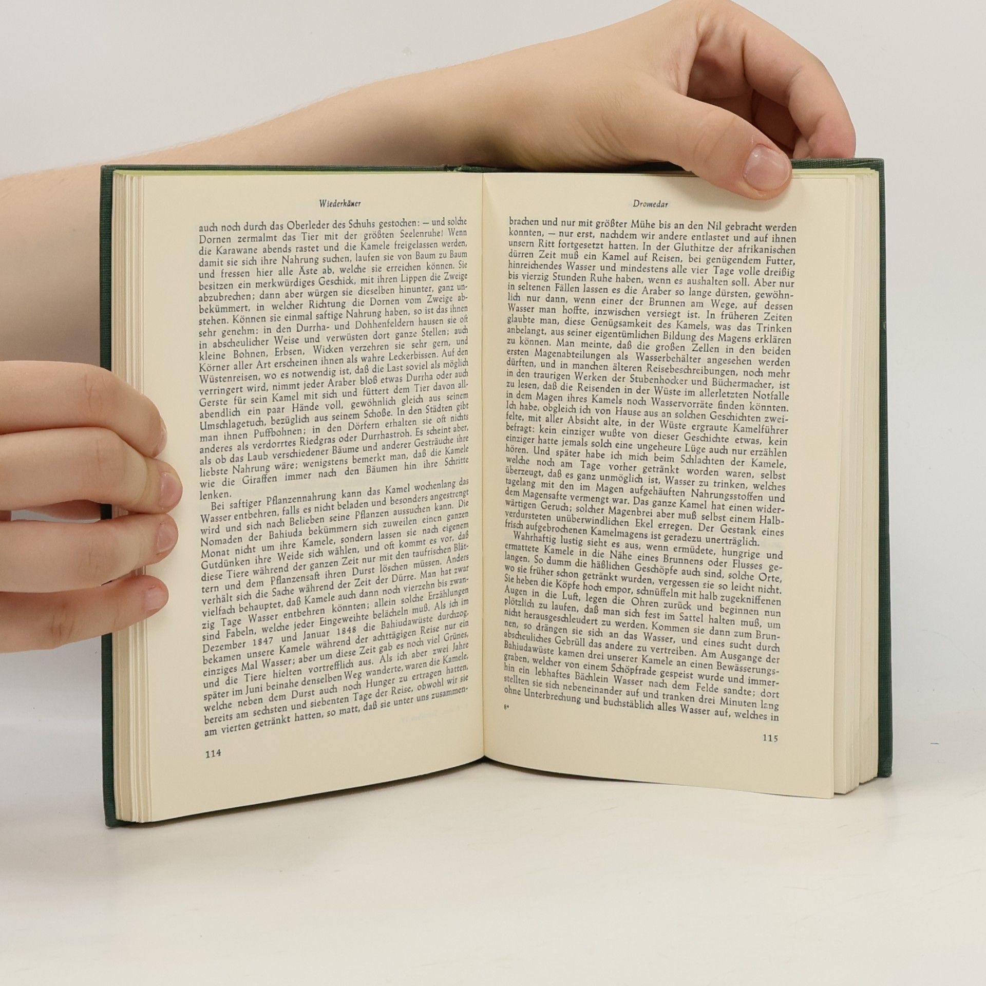 Autorenkollektiv Brehms Tierbelen 4