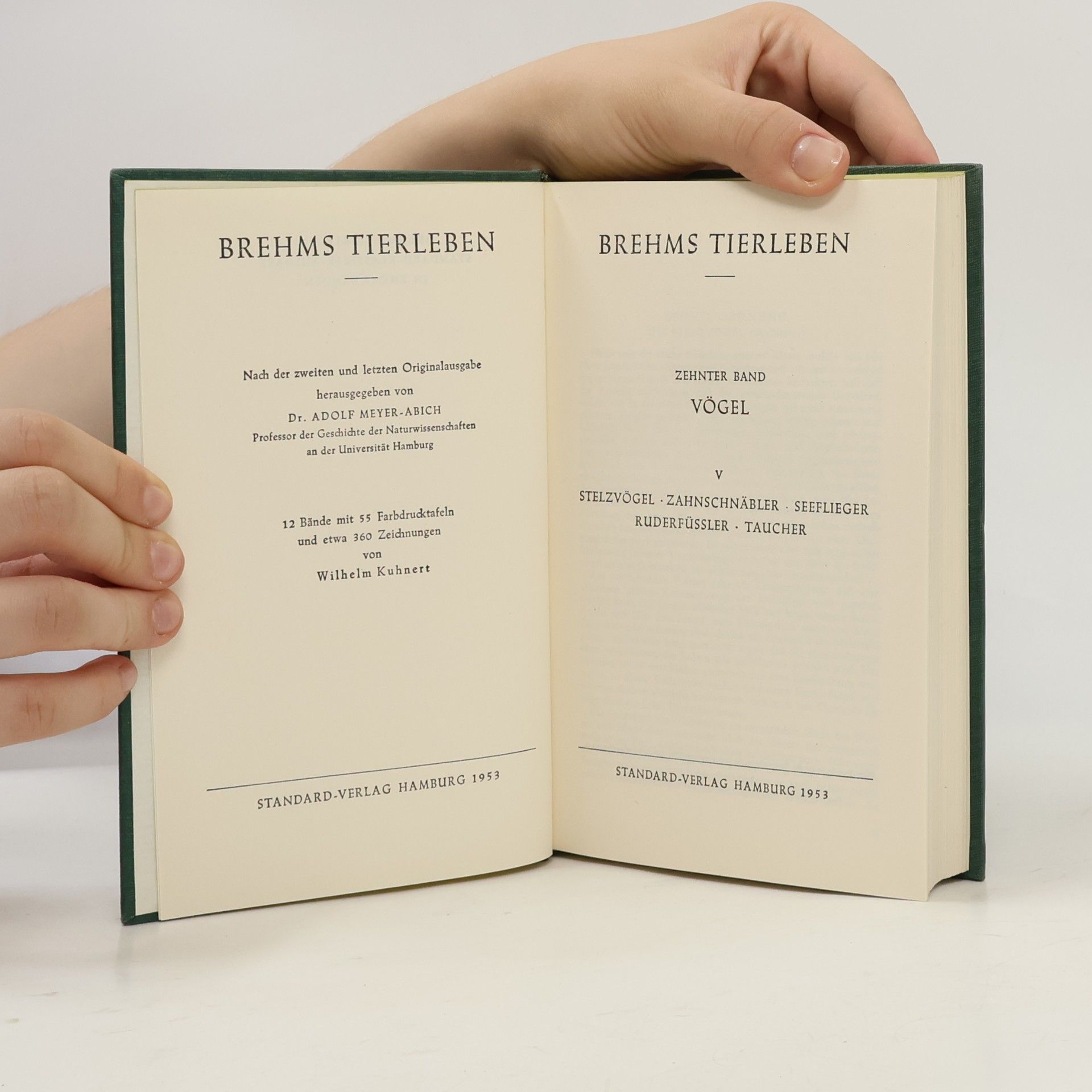 Adolf Meyer Abich Brehms Tierleben 10. Vögel V