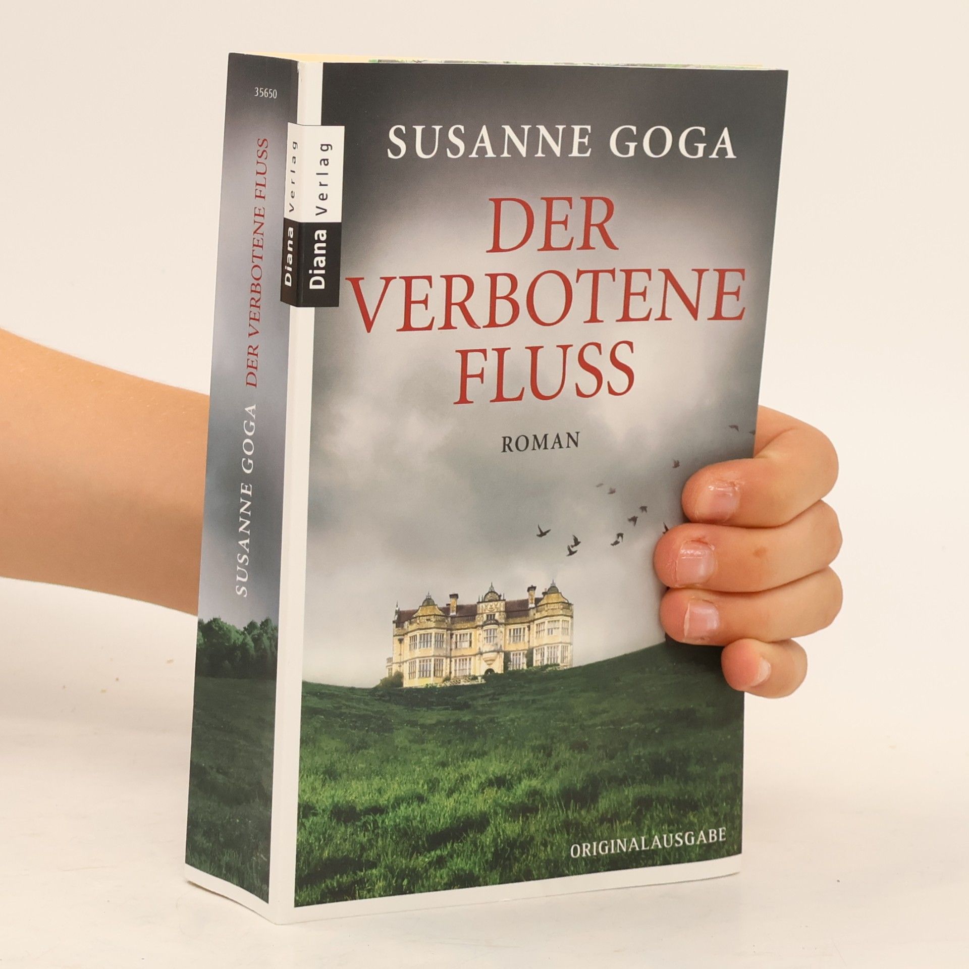 Susanne Goga Der verbotene Fluss