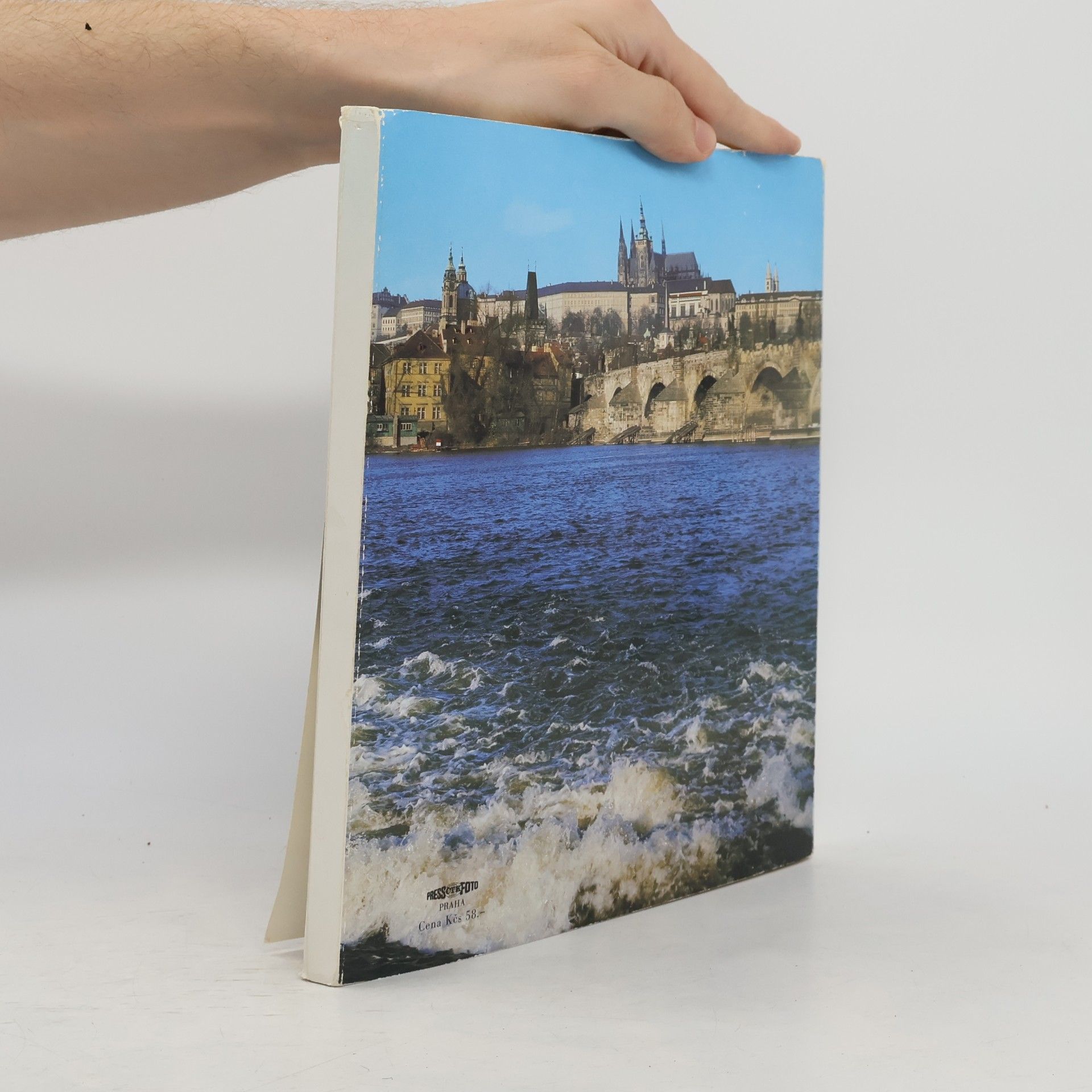 Karel Neubert Vltava