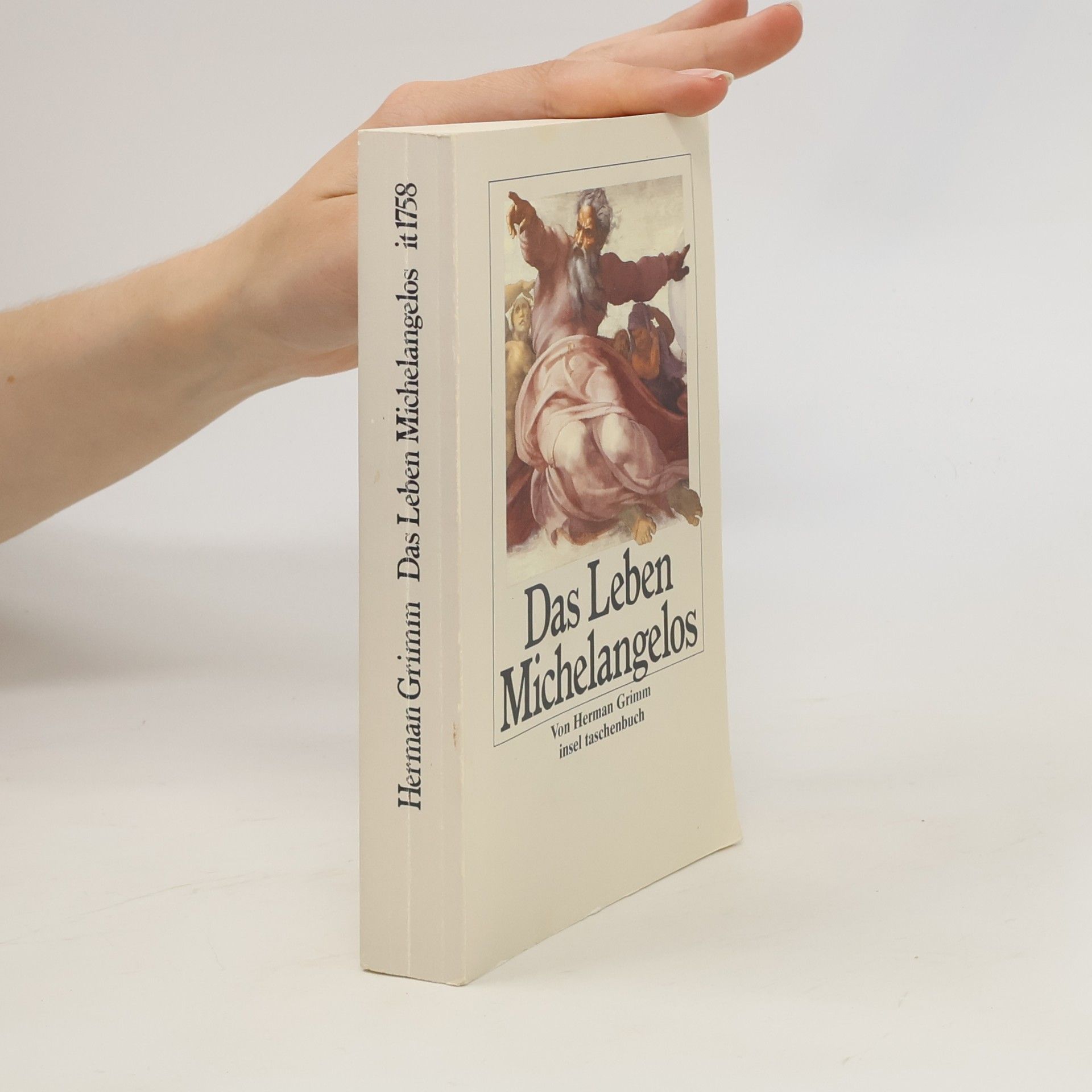 Herman Grimm Das Leben Michelangelos