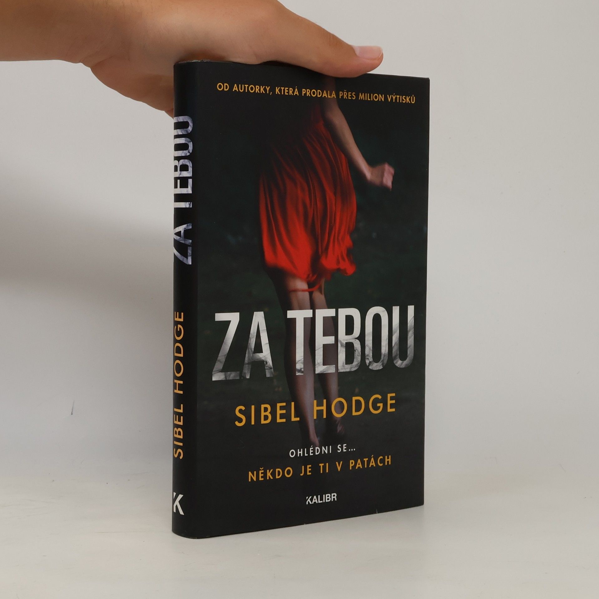 Sibel Hodge Za tebou