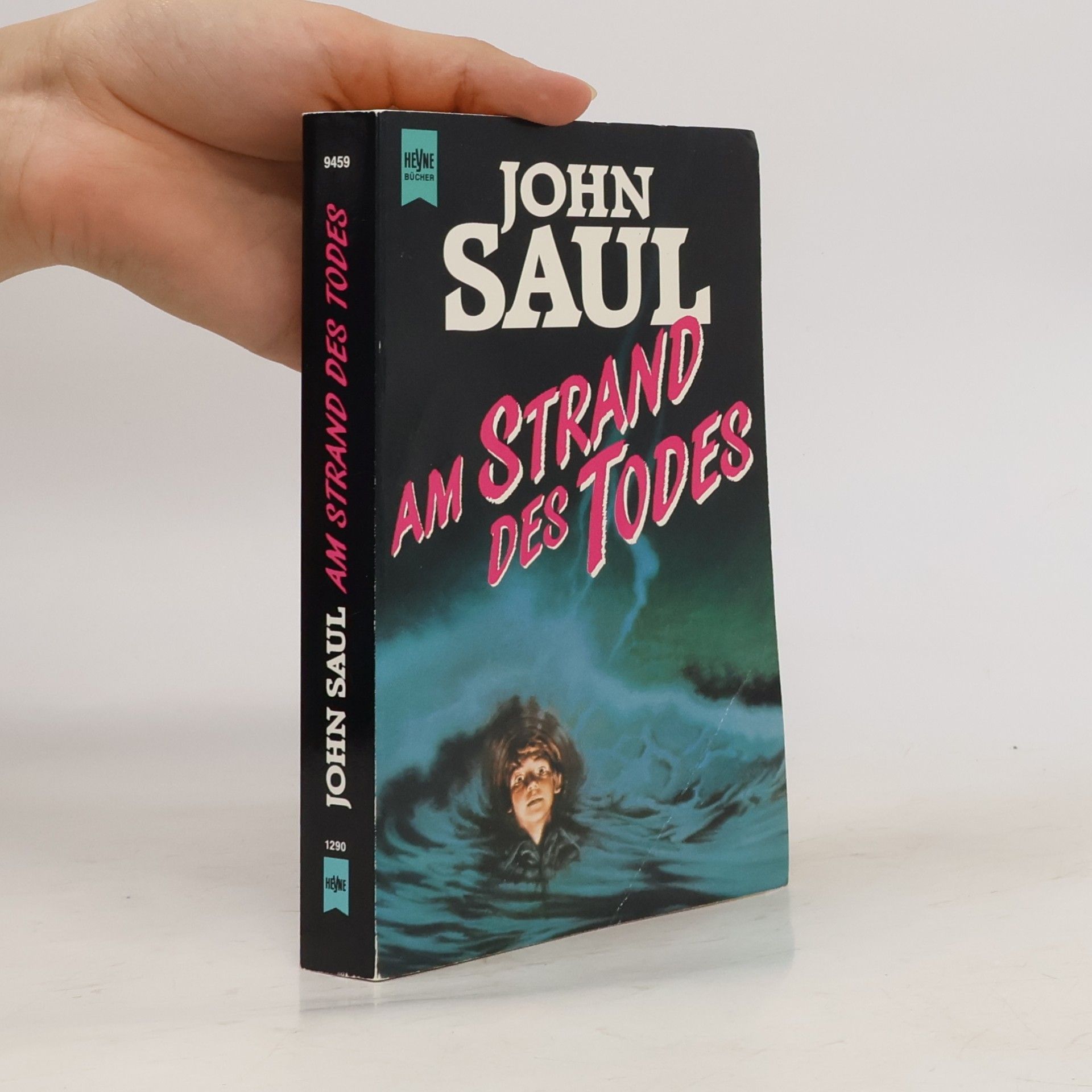 John Saul Am Strand des Todes