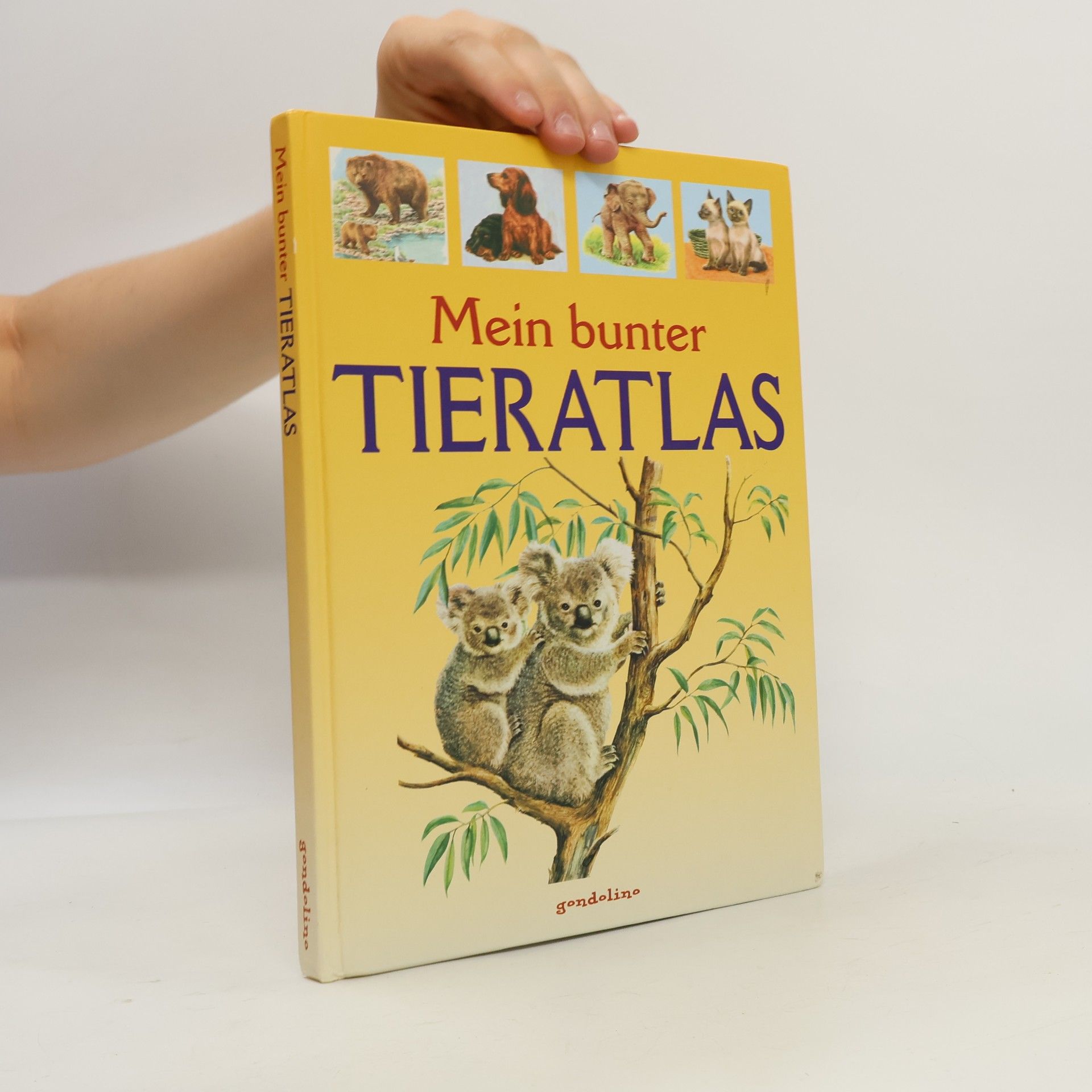 Mein bunter Tieratlas