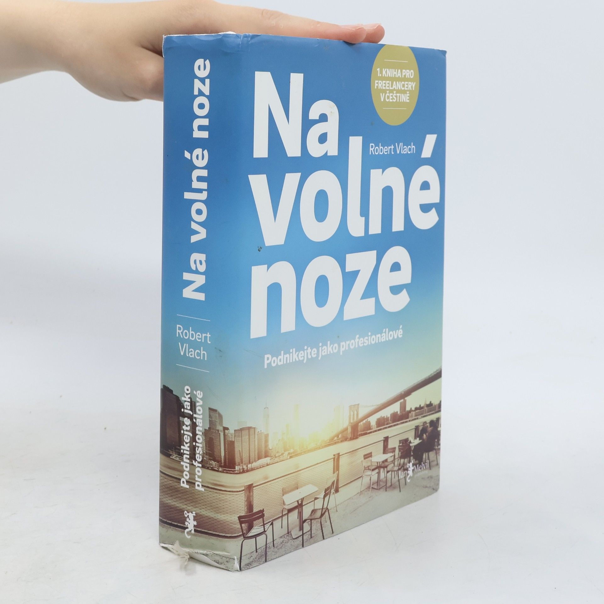 Robert Vlach (podnikatel) Na volné noze