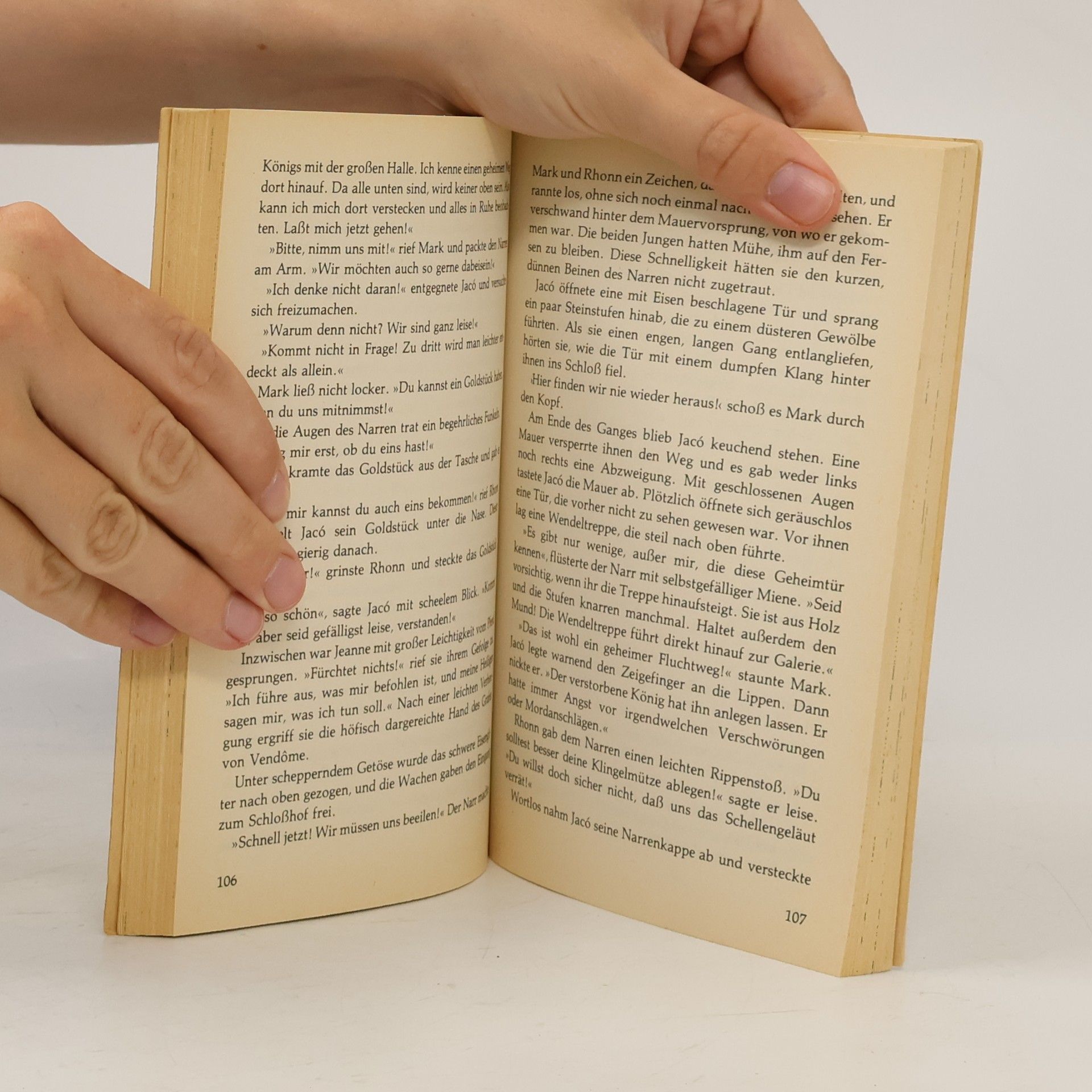 Johanna von Koczian Heyne Jugend Taschen Bücher - 241: Der geheimnisvolle Graf. Neue Abenteuer mit Mark und Rhonn